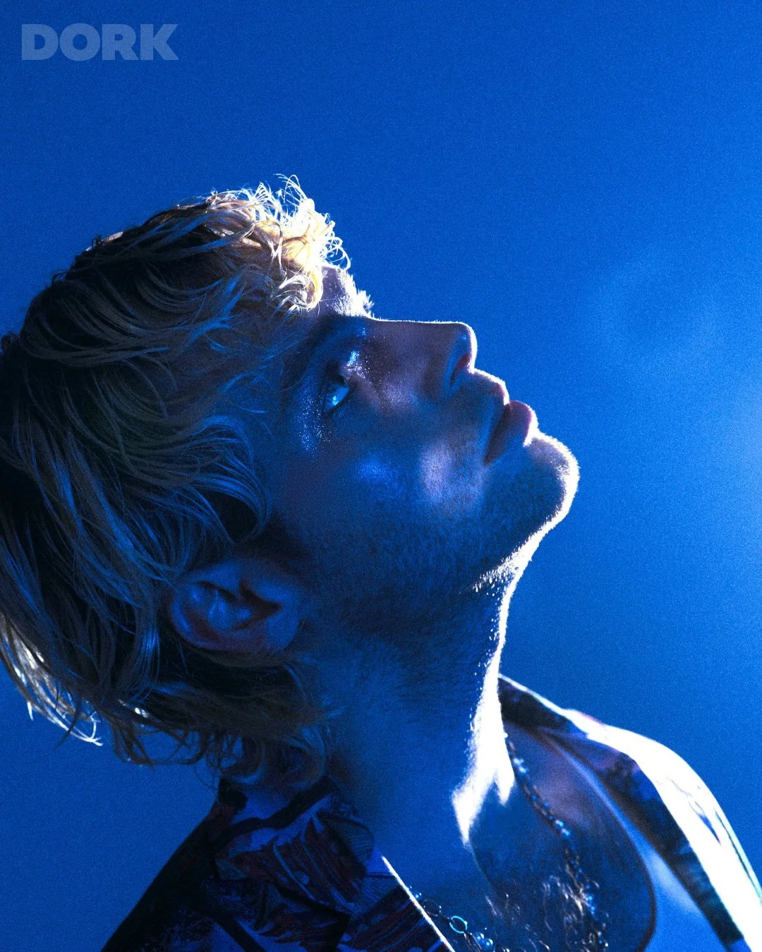 Luke Hemmings_4.jpg