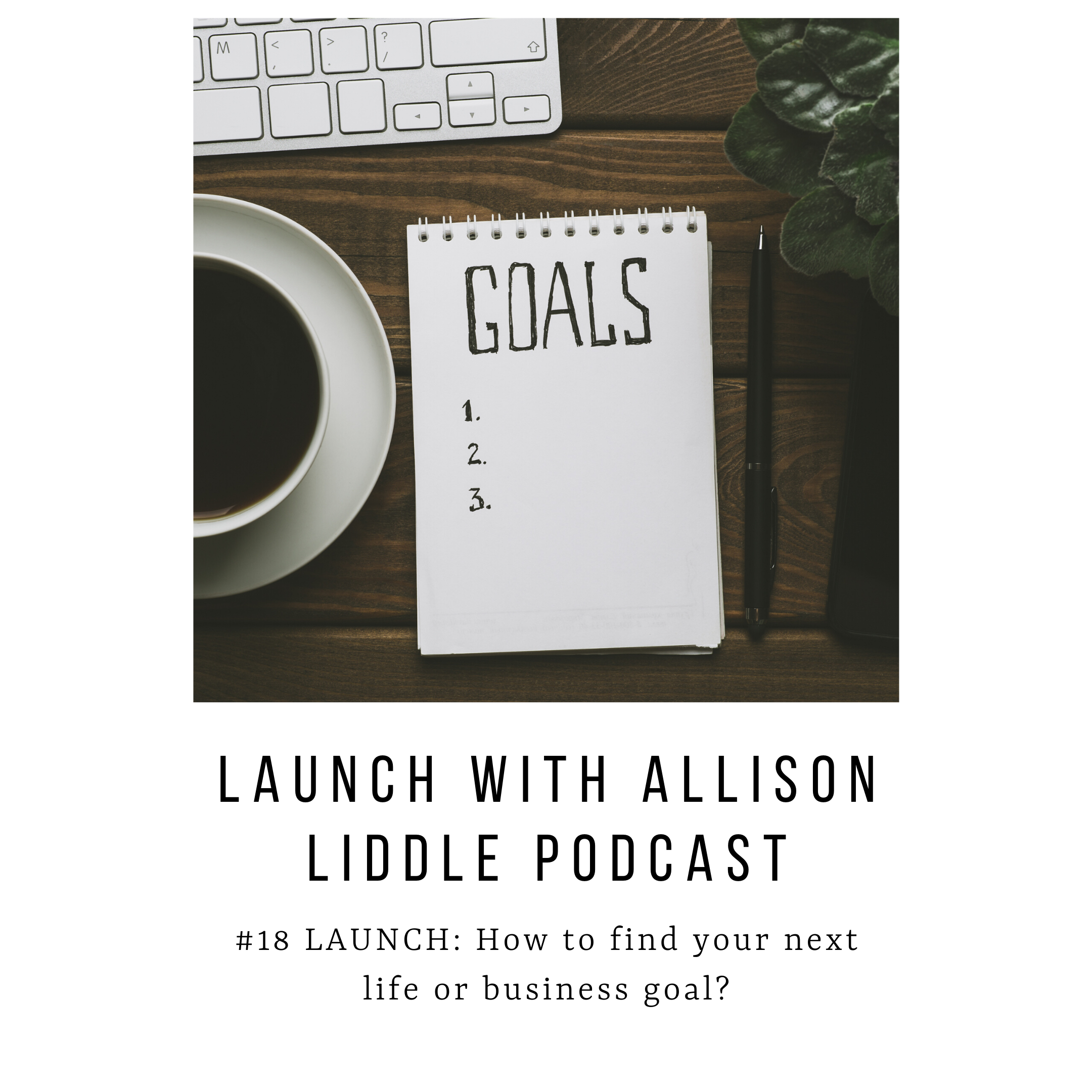 #18 LAUNCH Podcast: How to find your next life or business goal?