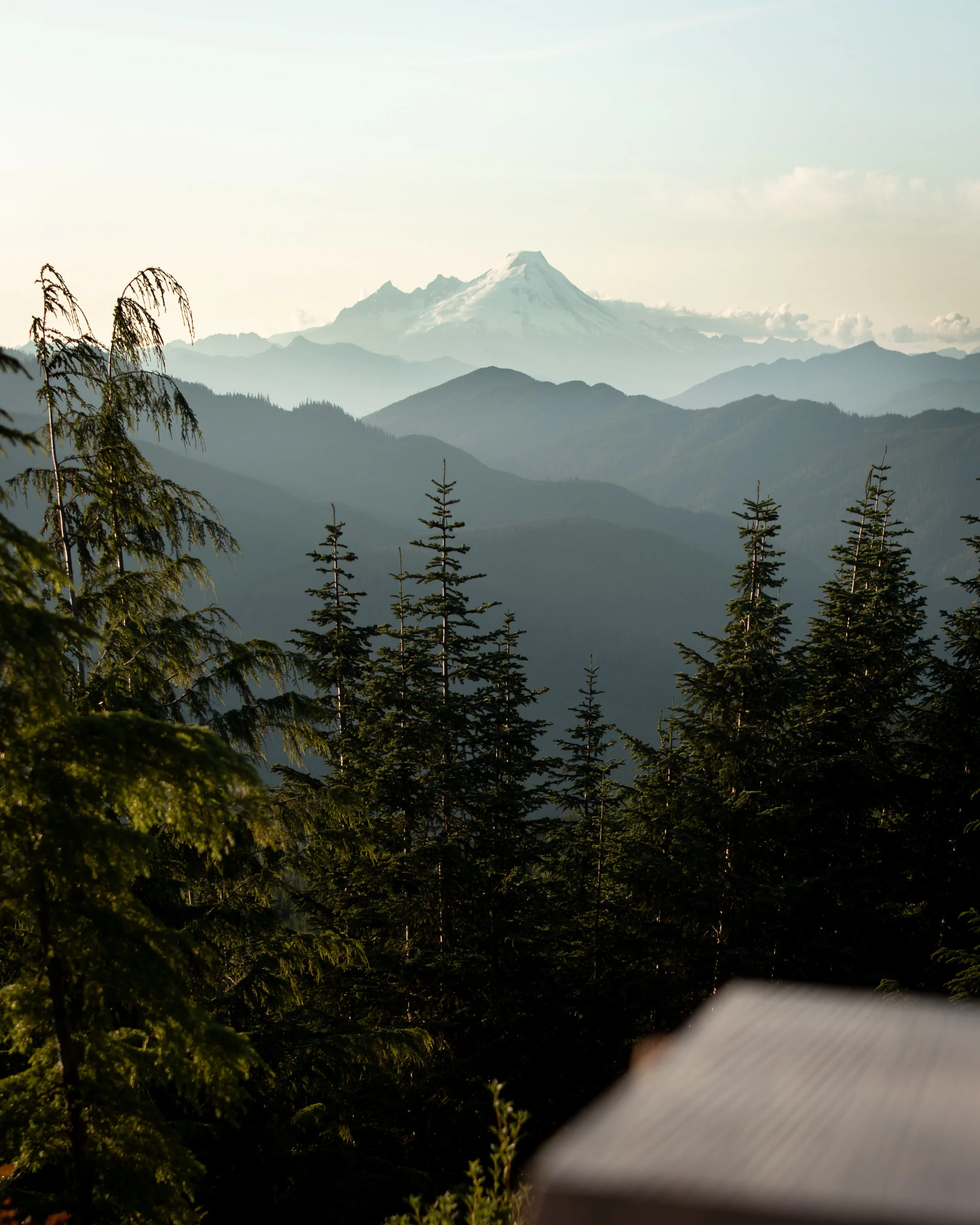 Shhhhhhh...it's a secret