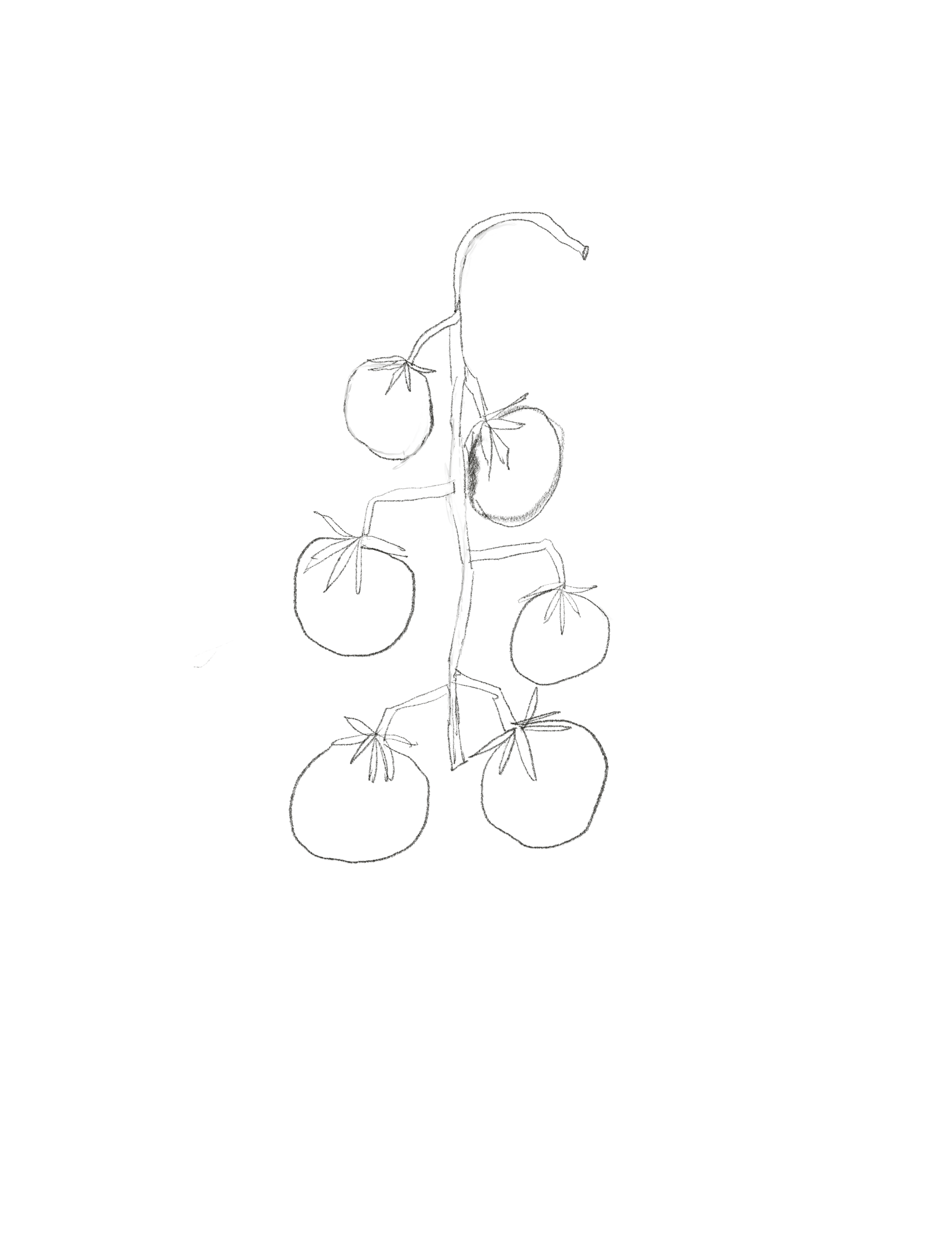 Untitled_Artwork 19.png