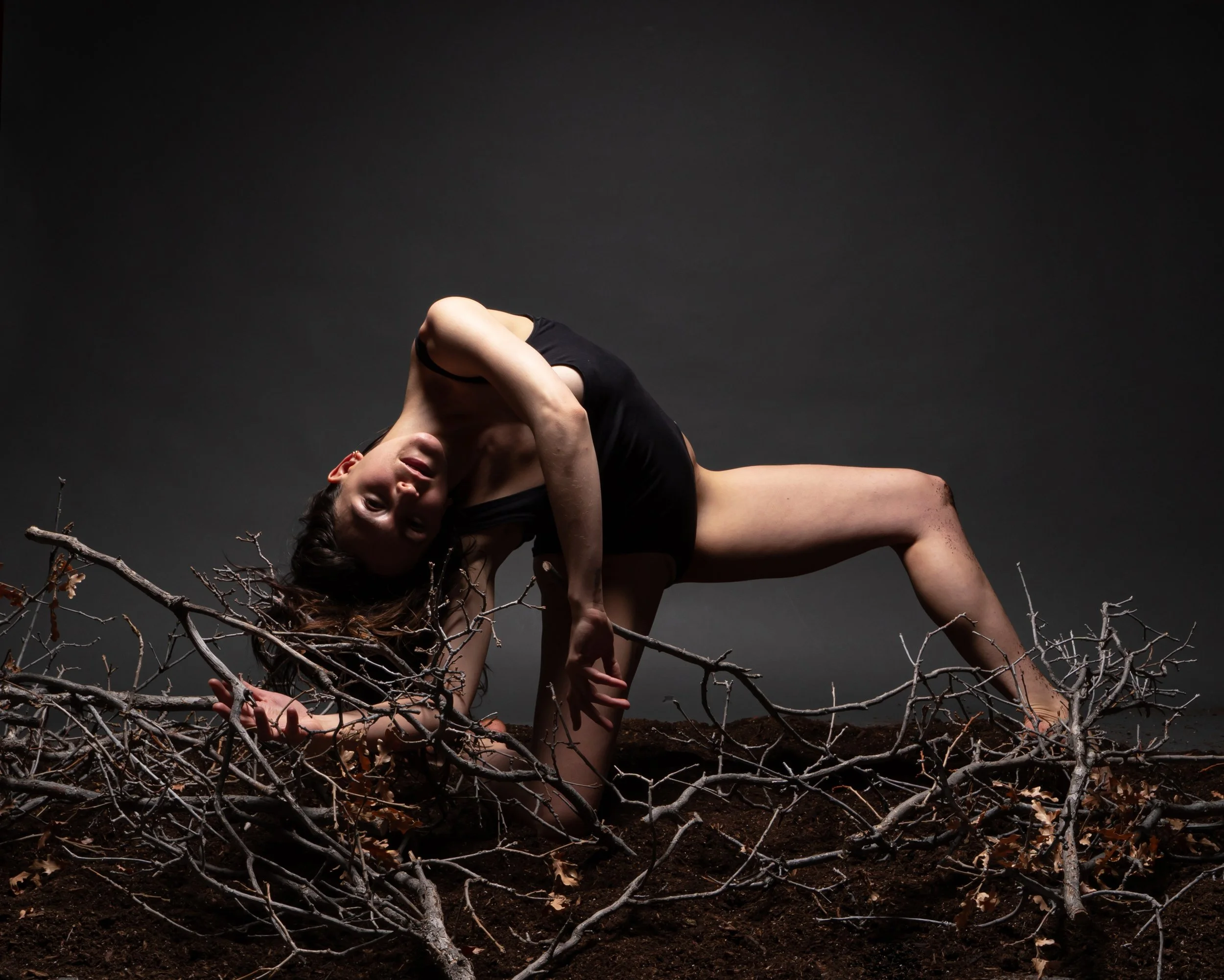 Night 2 - The Wild Bloom: Spring Performance Series