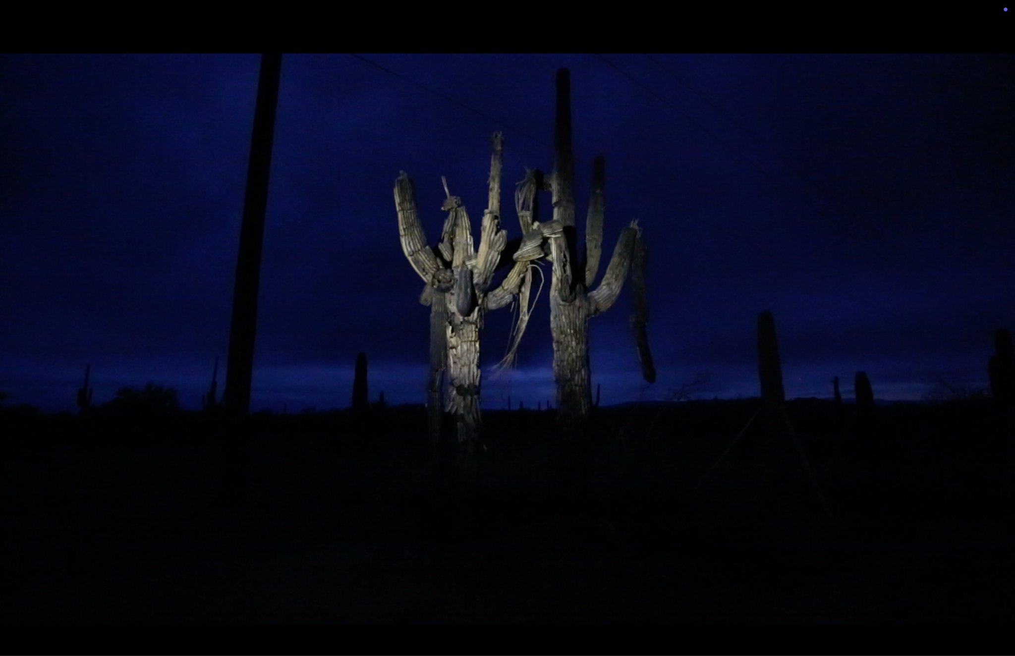 Last day to visit "Desert"