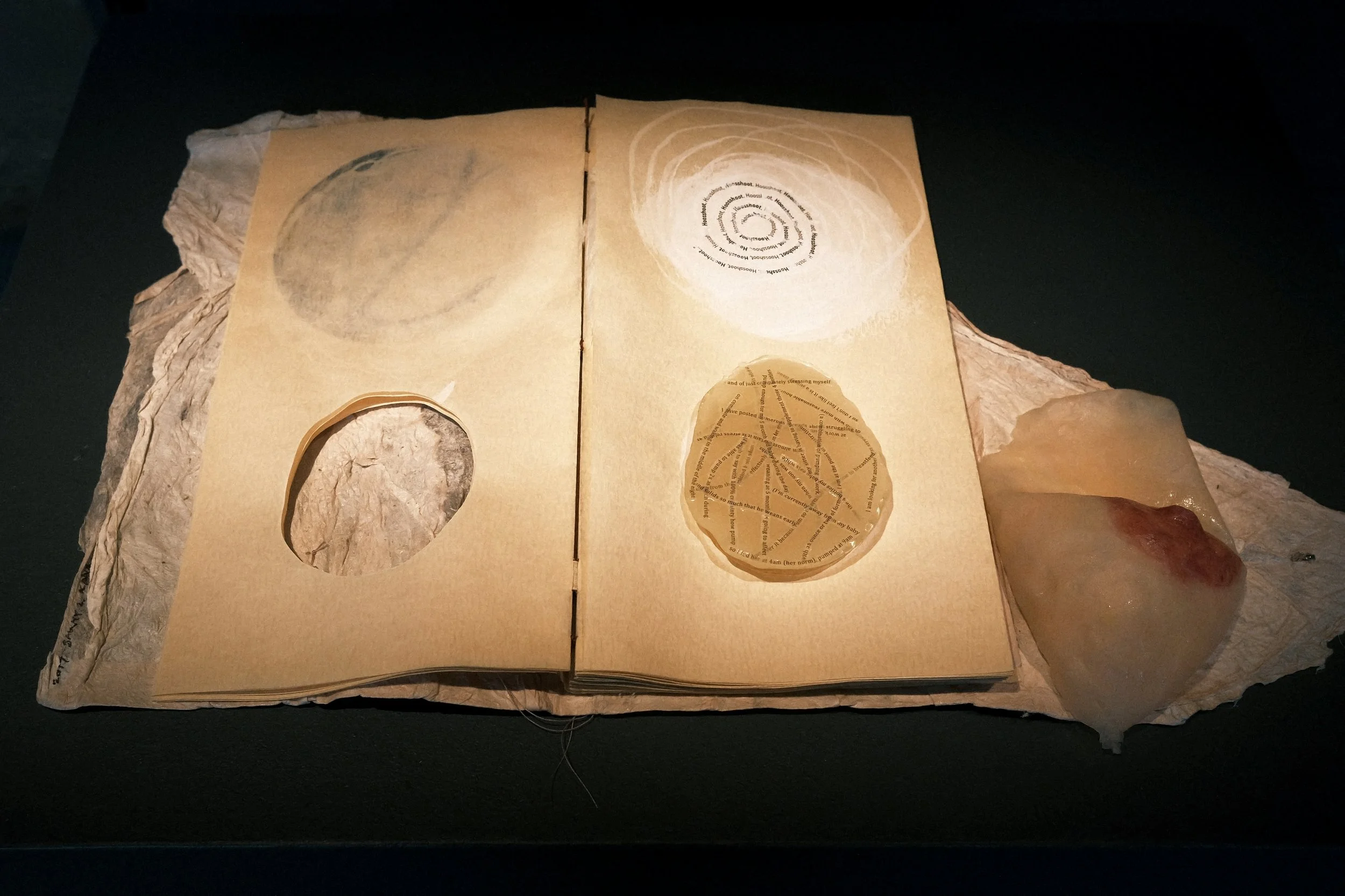 Sammy Seung-min Lee,
"Mammorial," 2017.