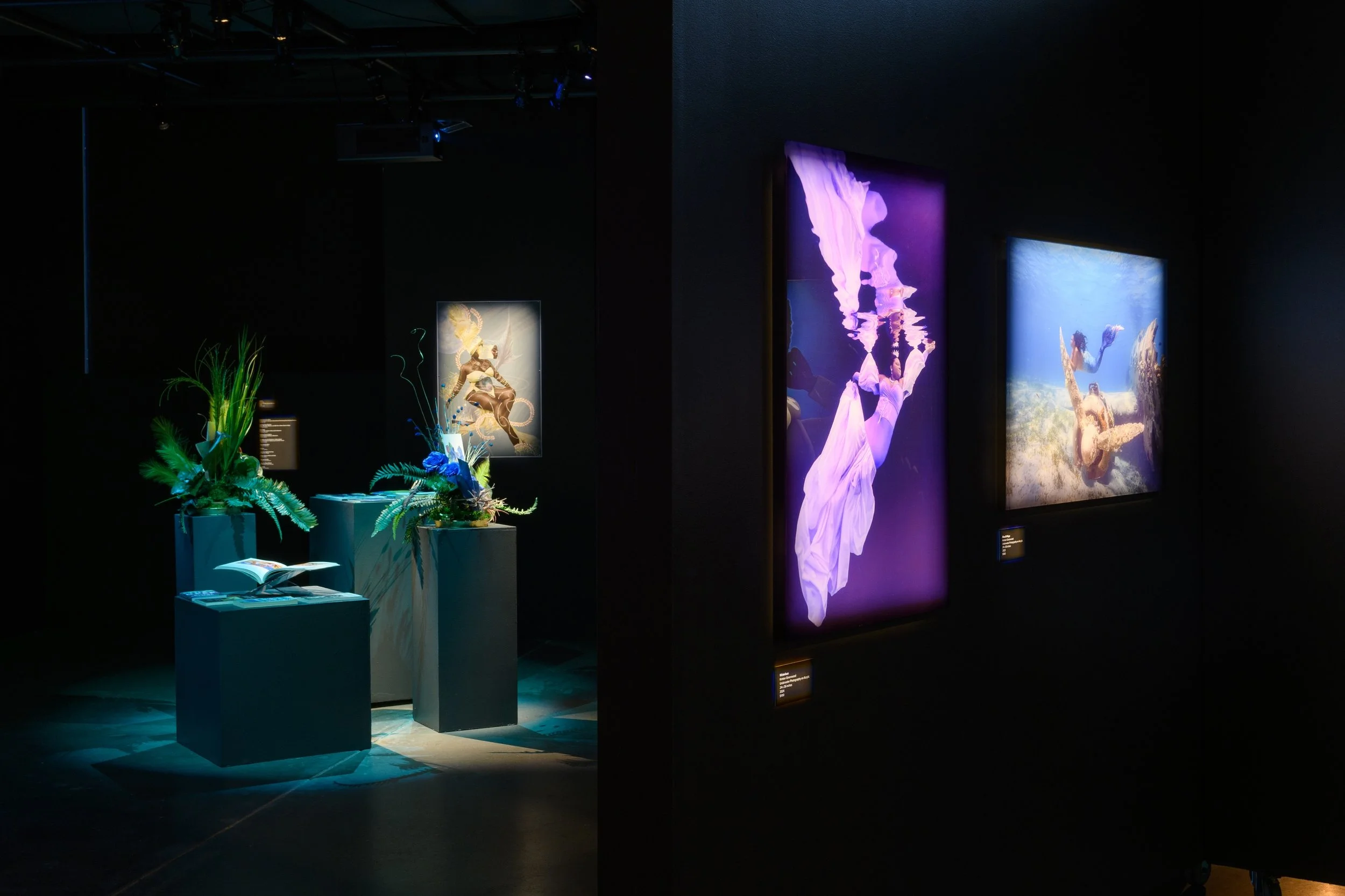 Installation view of Drexciya: Into the Deep. Photo by Raymundo Muñoz.