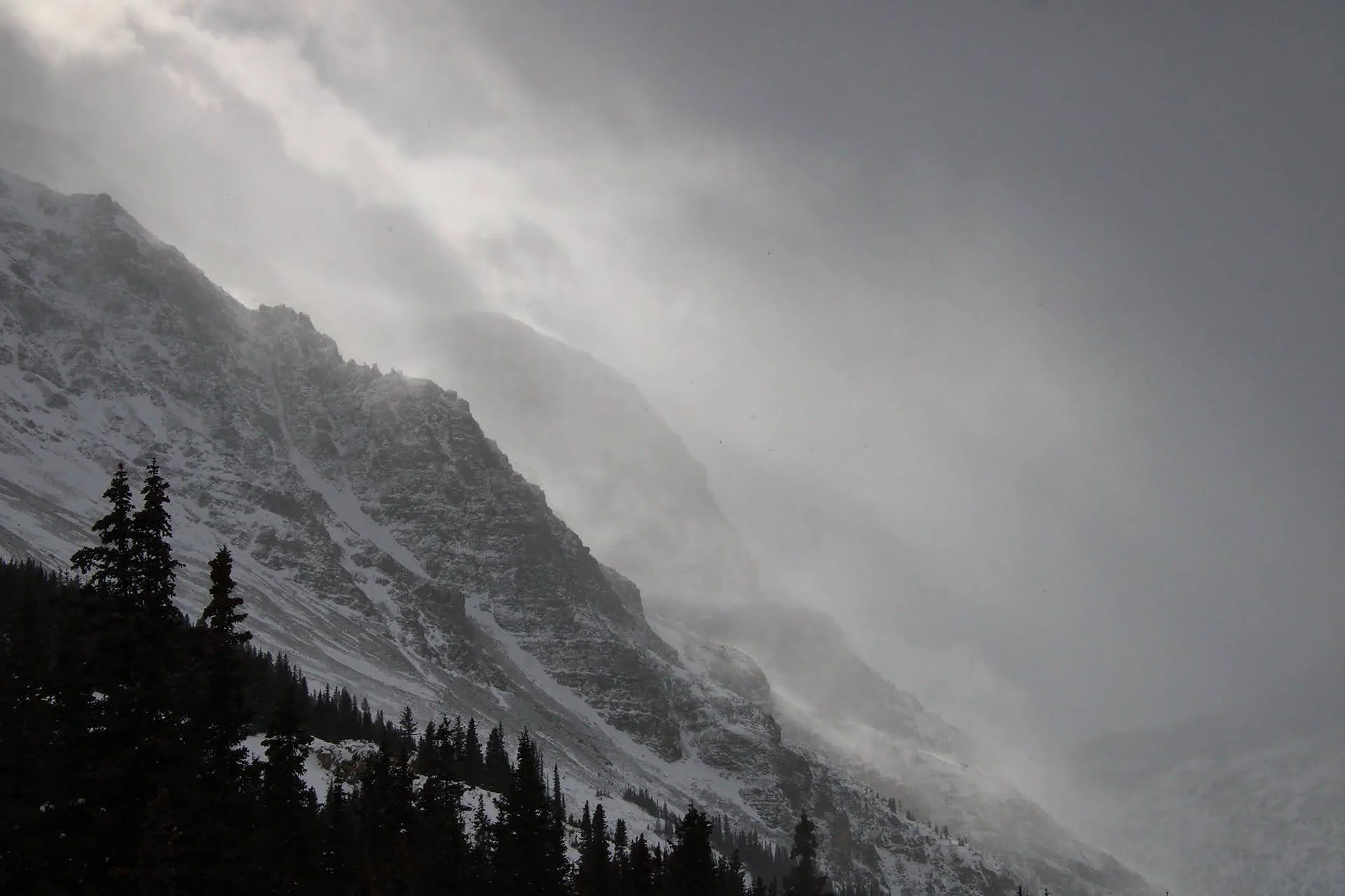 Speaking Engagements