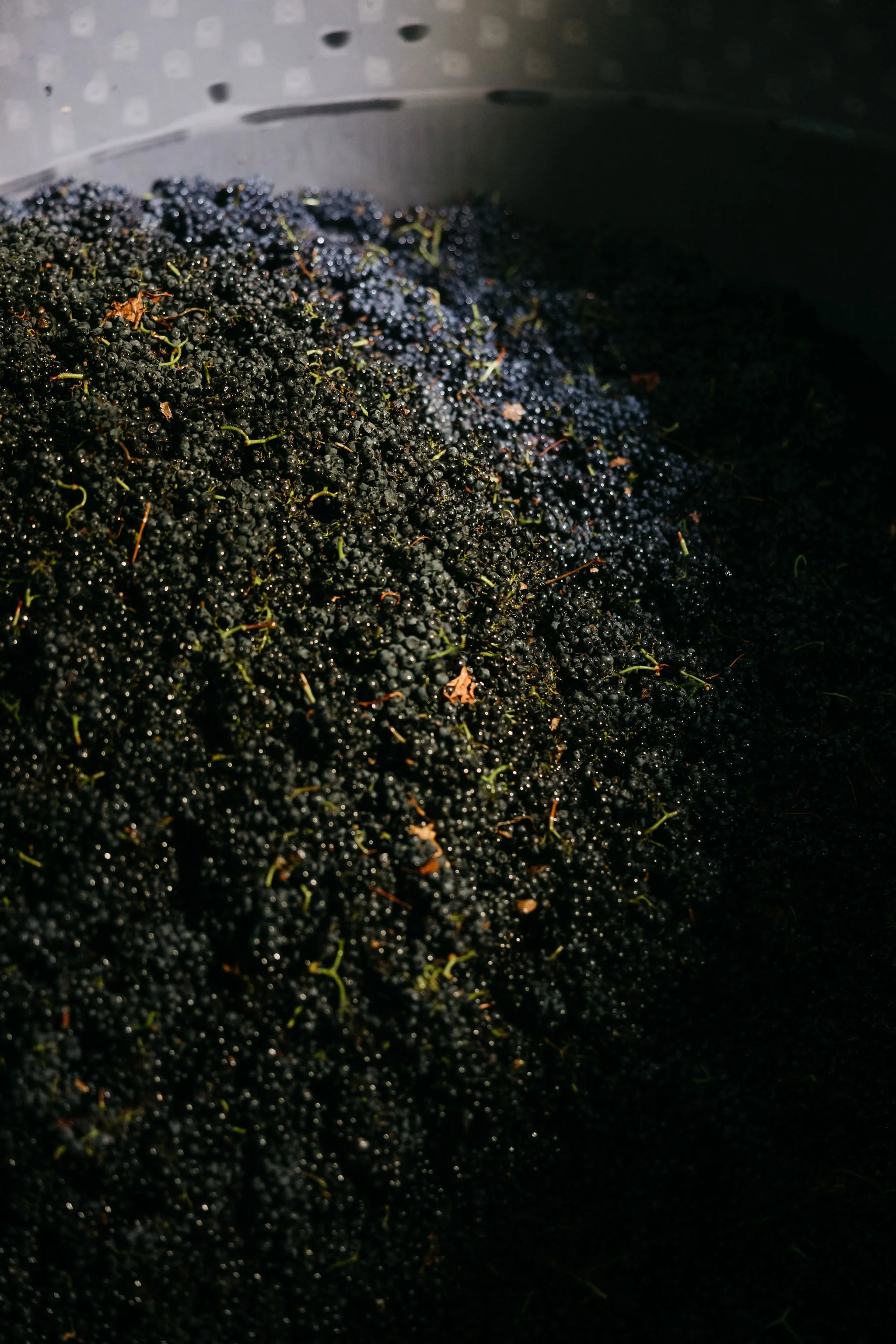 Scroll-Stopping Social Media Case Study