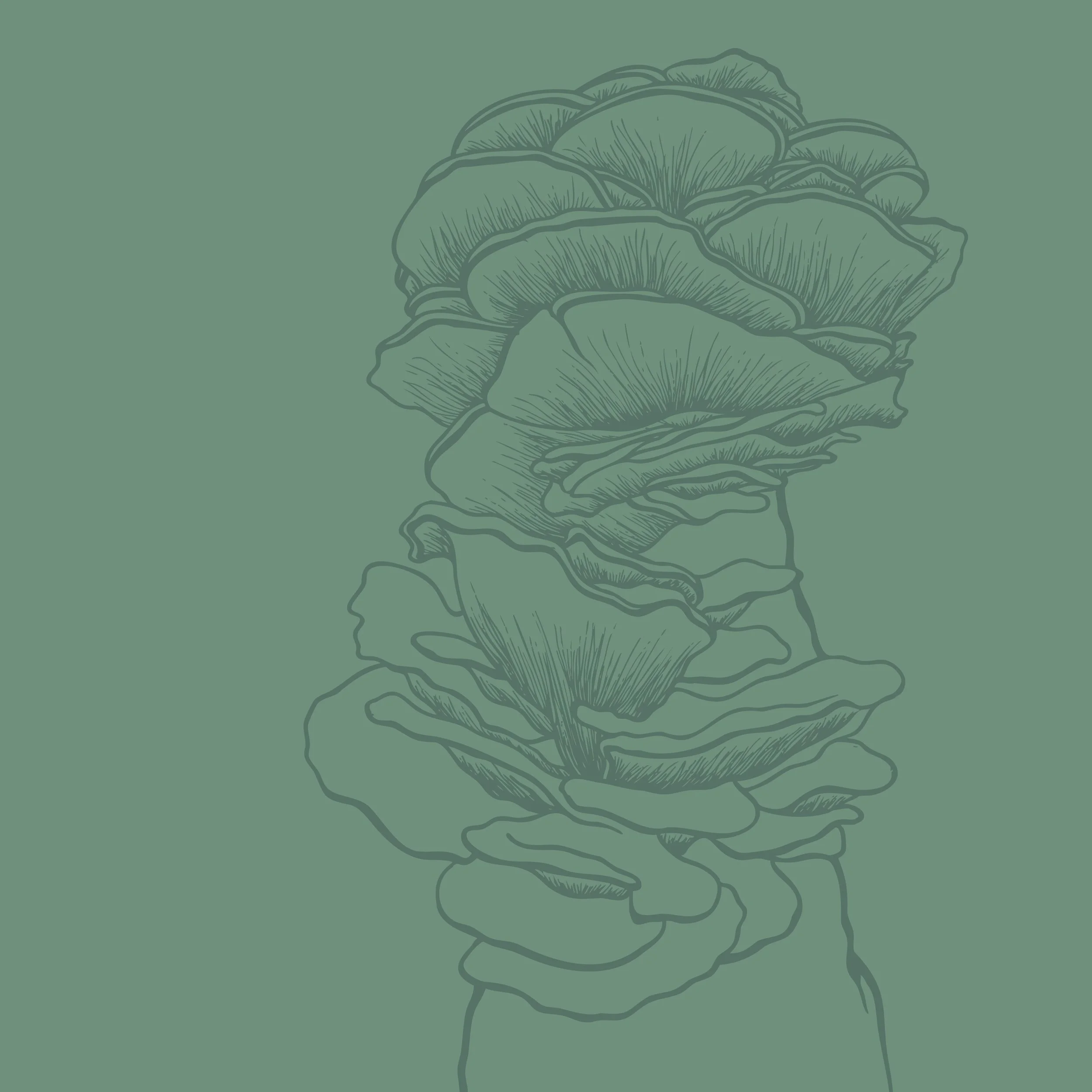 mushroom backgrounds4.jpg