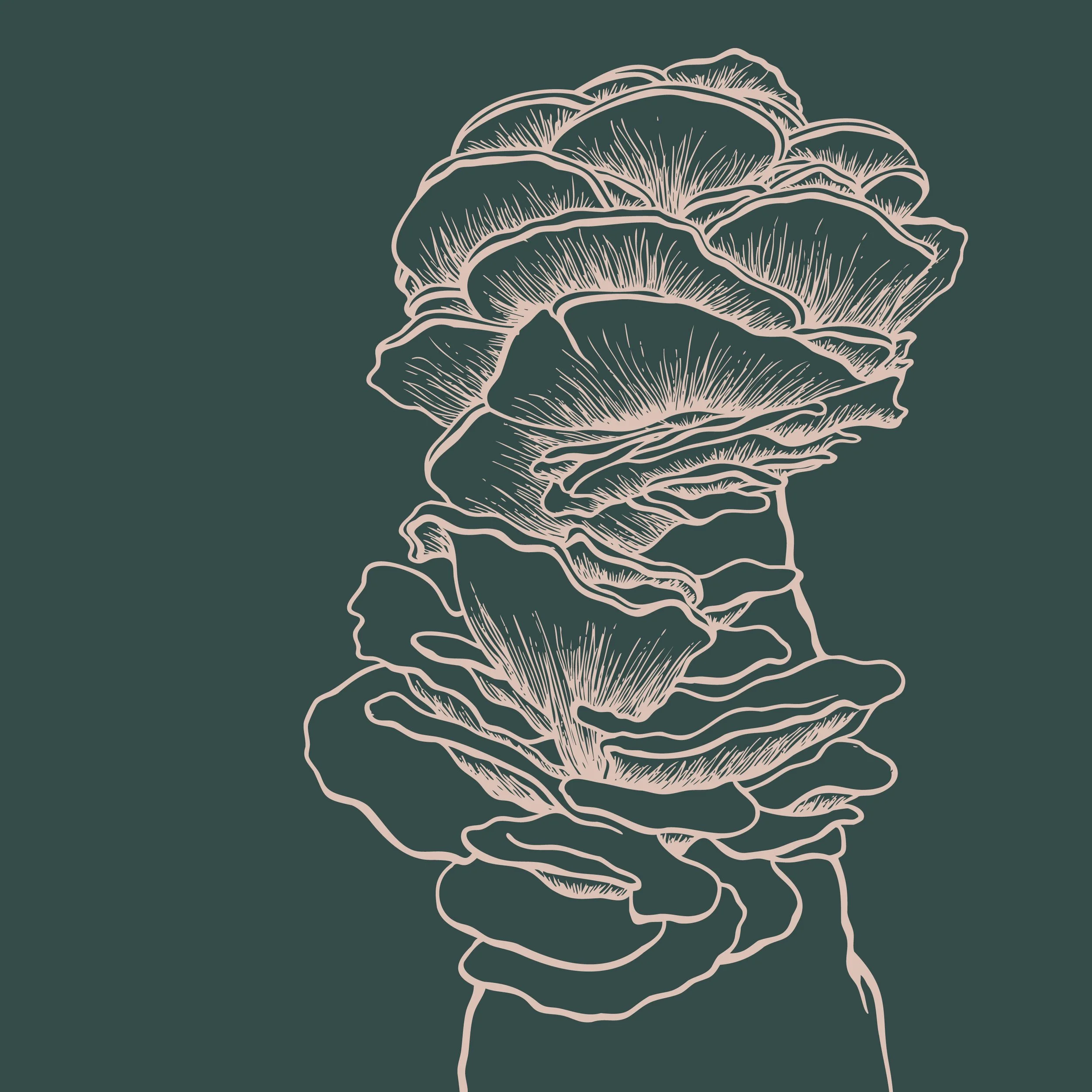 mushroom backgrounds2.jpg
