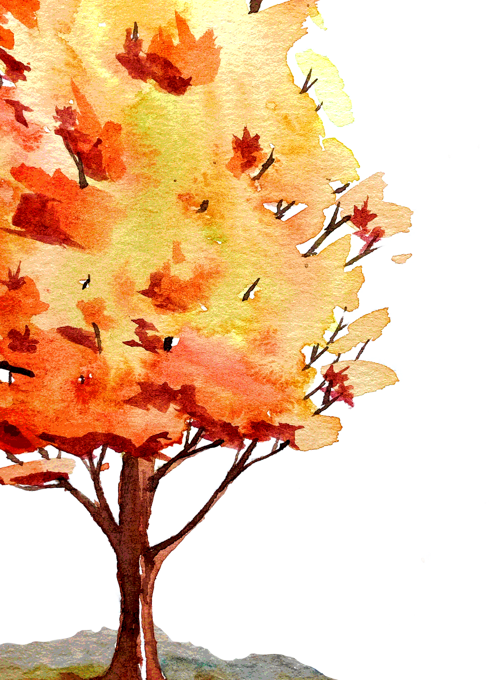 IMG_9662.png