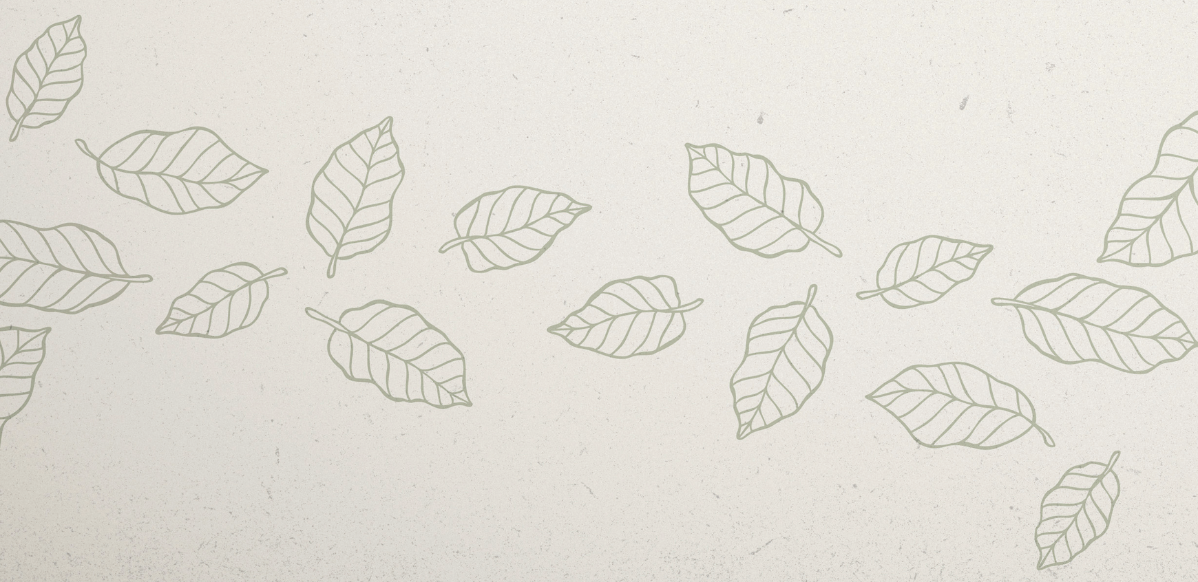 Screenshot 2025-08-04 at 2.53.16 PM.png