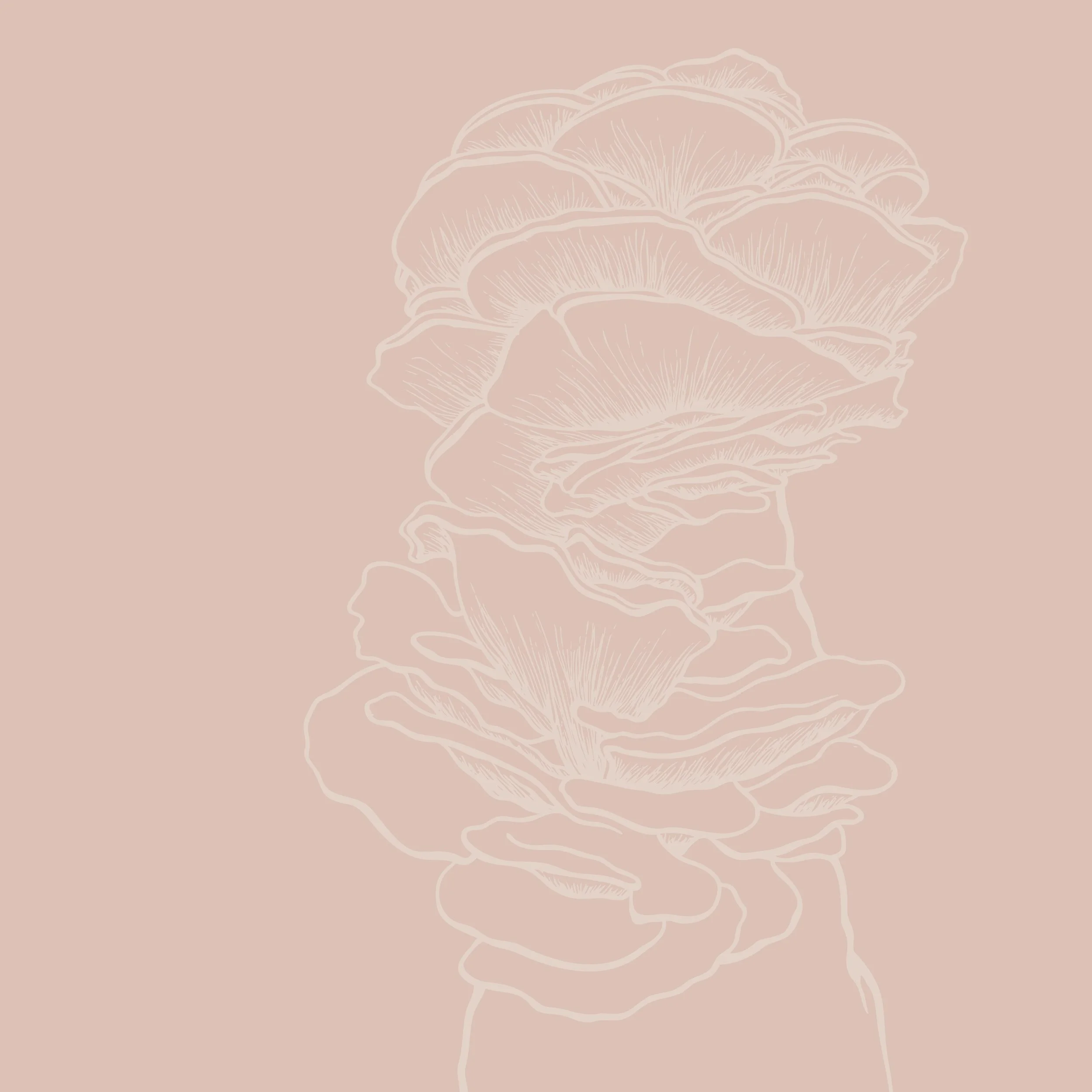 mushroom backgrounds5.jpg