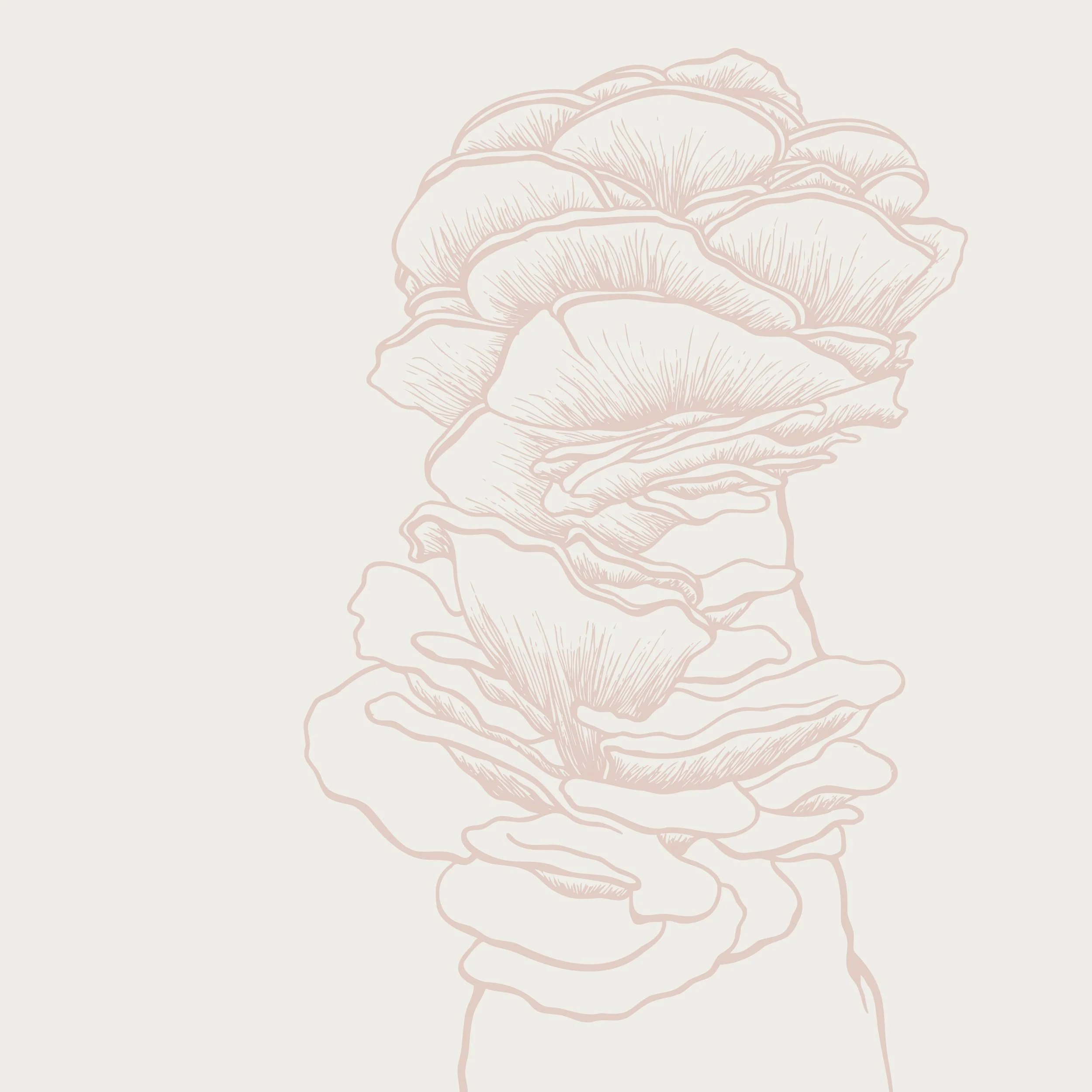 mushroom backgrounds6.jpg