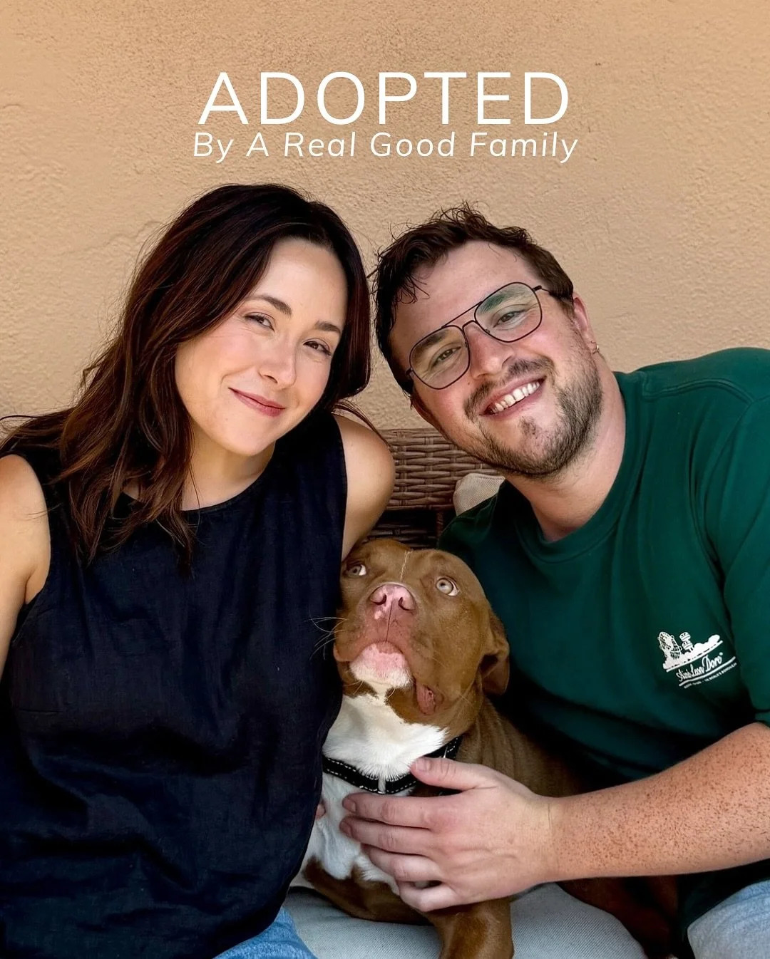 Tommy found his forever family! 🎉

Our 3-year-old Pit bull, Tommy, has officially found his forever home! 🐾

This sweet boy was once a stray, wandering alone, and sadly ended up on the euthanasia list. But despite everything, Tommy has always been 