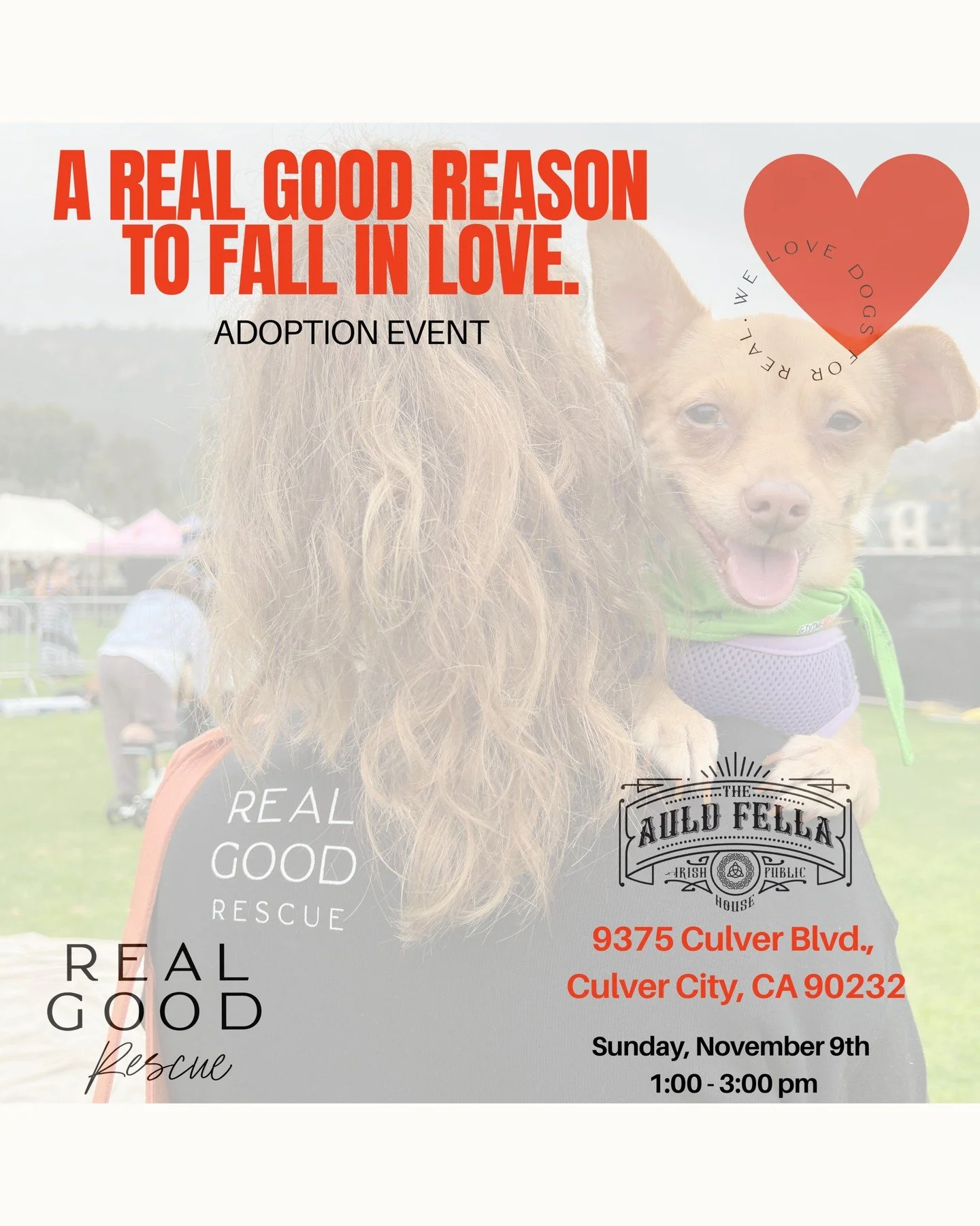🍂🐾 A Real Good Reason to Fall in Love! 🐾🍂

Join us Sunday, Nov 9th from 1&ndash;3 PM at The Auld Fella in Culver City for an adoption event full of love, cuddles, and wagging tails! 💛

Come meet your new best friend and fall head over paws. 🐶✨
