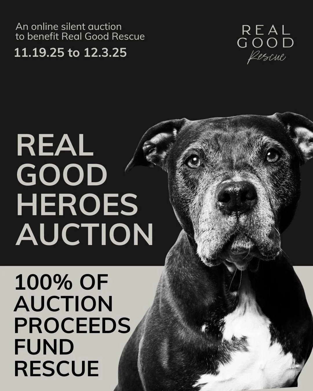 Our First-Ever Online Auction  to save dogs Is LIVE! 🐾✨

Bid. Win. Save dogs. Repeat.

From now through December 3, 2025, you can snag amazing items + experiences while helping rescue dogs get the second chance they deserve. 💛

Here are a few of ou