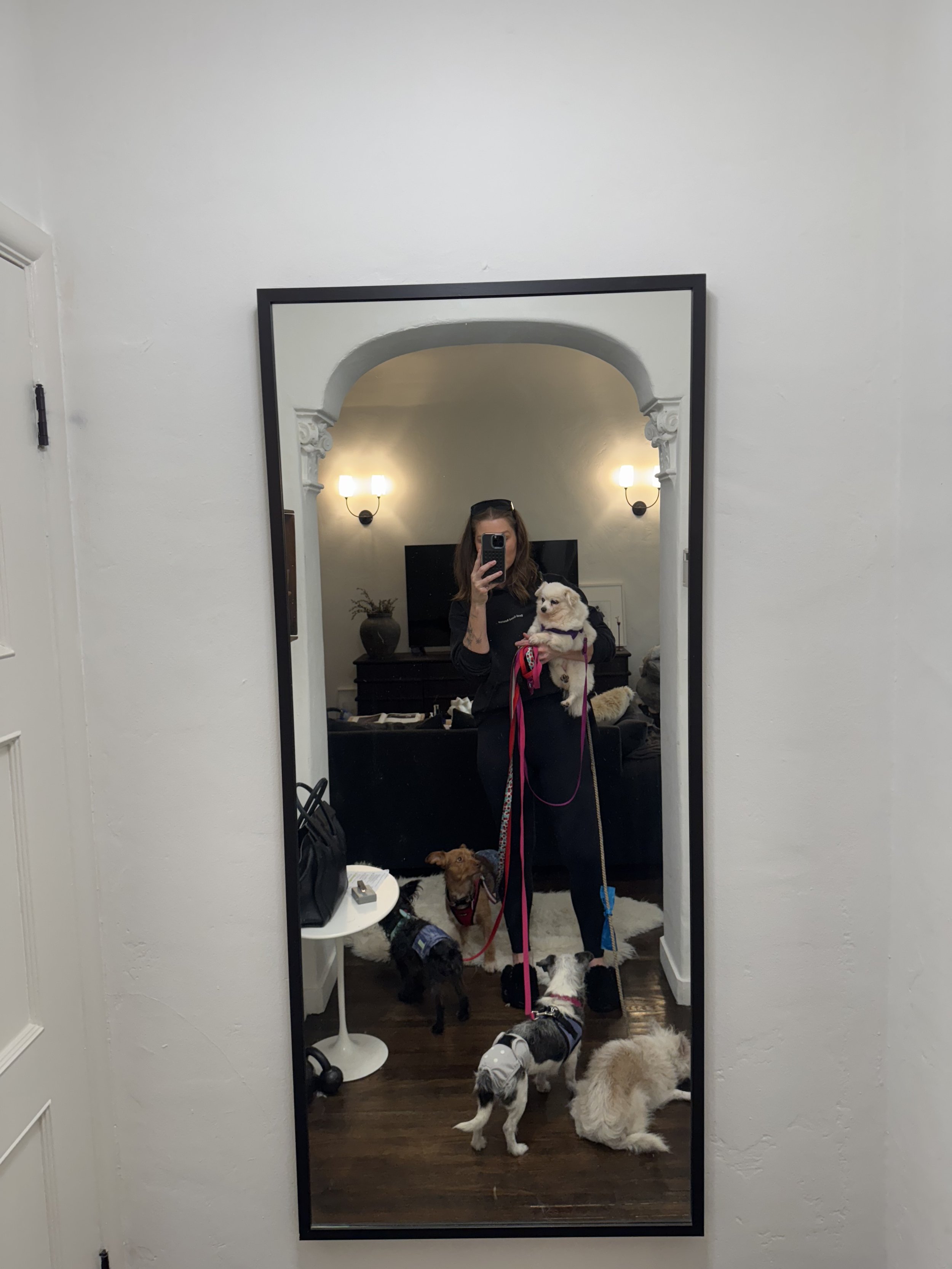 A Day in Rescue: Behind the Scenes with Terah