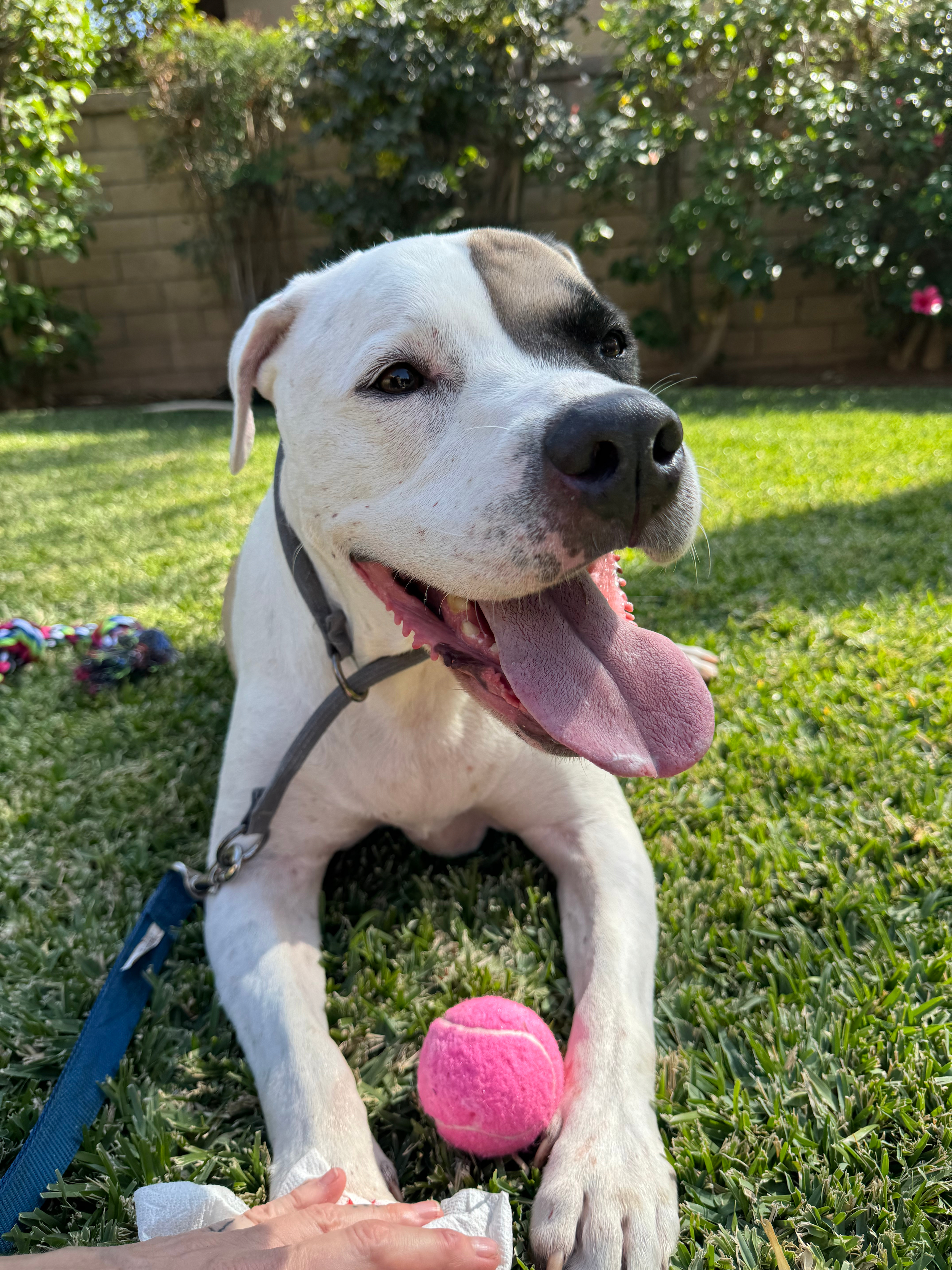 Behind the Scenes: Going the Extra Mile for Jamie