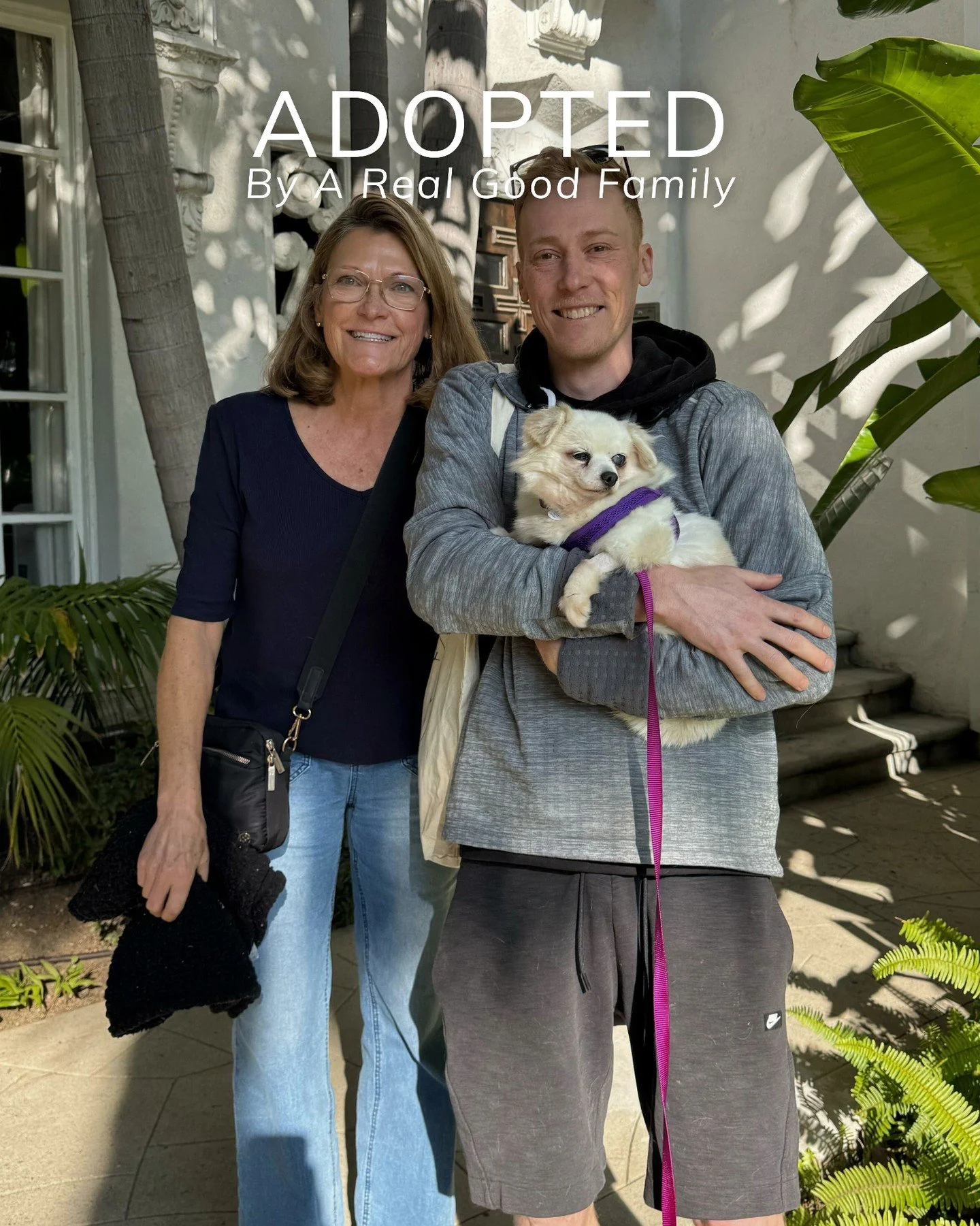 Kitty has found her forever. 🤍

From being surrendered after 12 years to landing on the euthanasia list with just 72 hours left, to finally being held, loved, and safe. Kitty&rsquo;s story has officially turned a corner.

Thank you to her foster, he