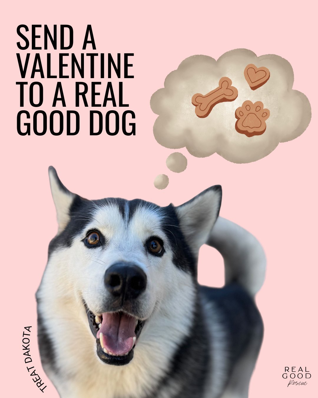 Skip the roses. Send a Valen-treat to a Real Good dog who is hungry for your love. 

Every &ldquo;Love Bone&rdquo; you send is about way more than sweet treats. 

It helps cover the unsexy stuff that keeps our Real Good dogs alive and thriving&mdash;