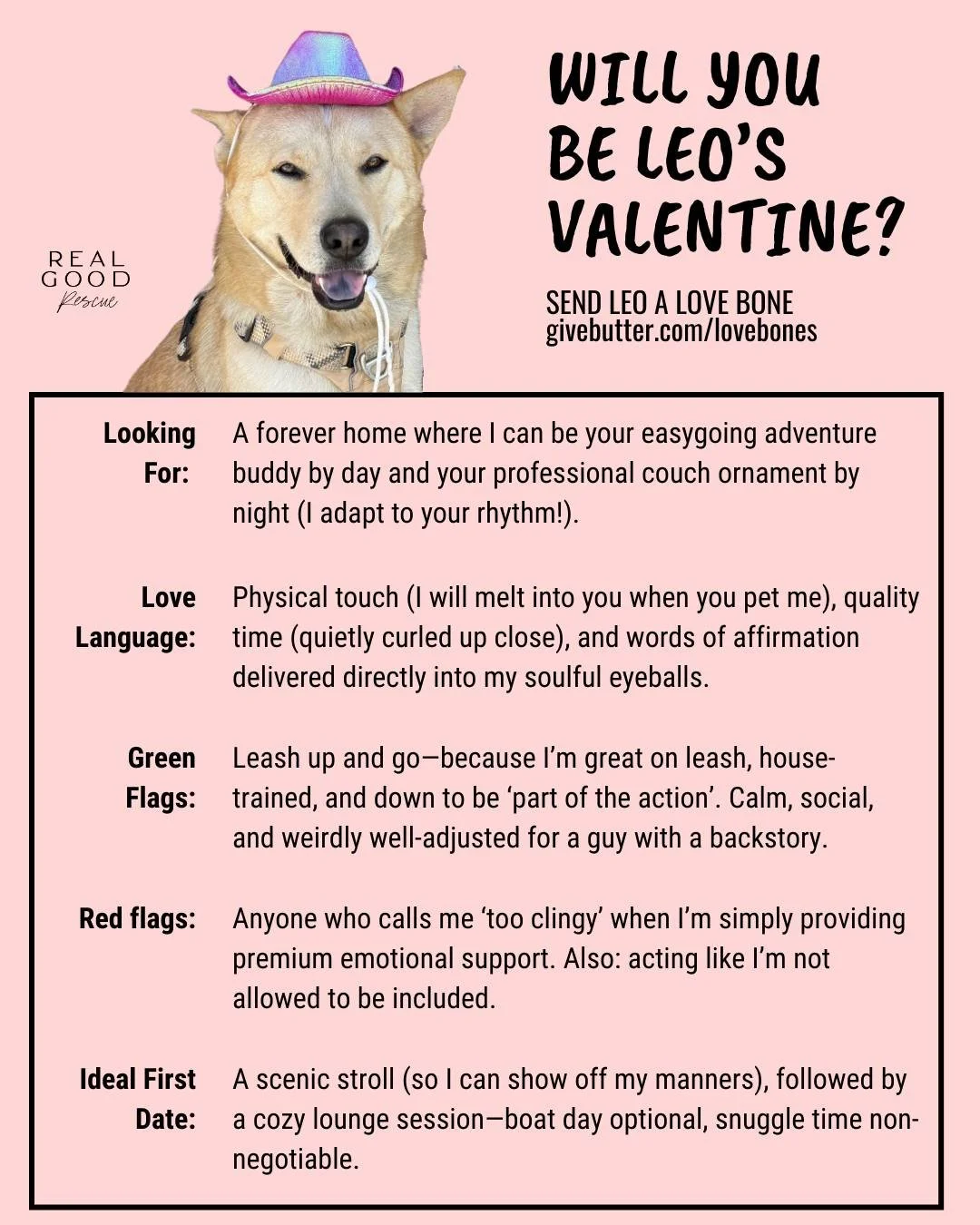 🚨 BREAKING NEWS 🚨

We&rsquo;re launching Only Paws &mdash; the dating app for people who are looking for &ldquo;the one&rdquo;&hellip; just in canine form. 🐾💘

No small talk. No weird brunch debates. 

Just:
 ✅ &ldquo;Do you like snacks?&rdquo;
 