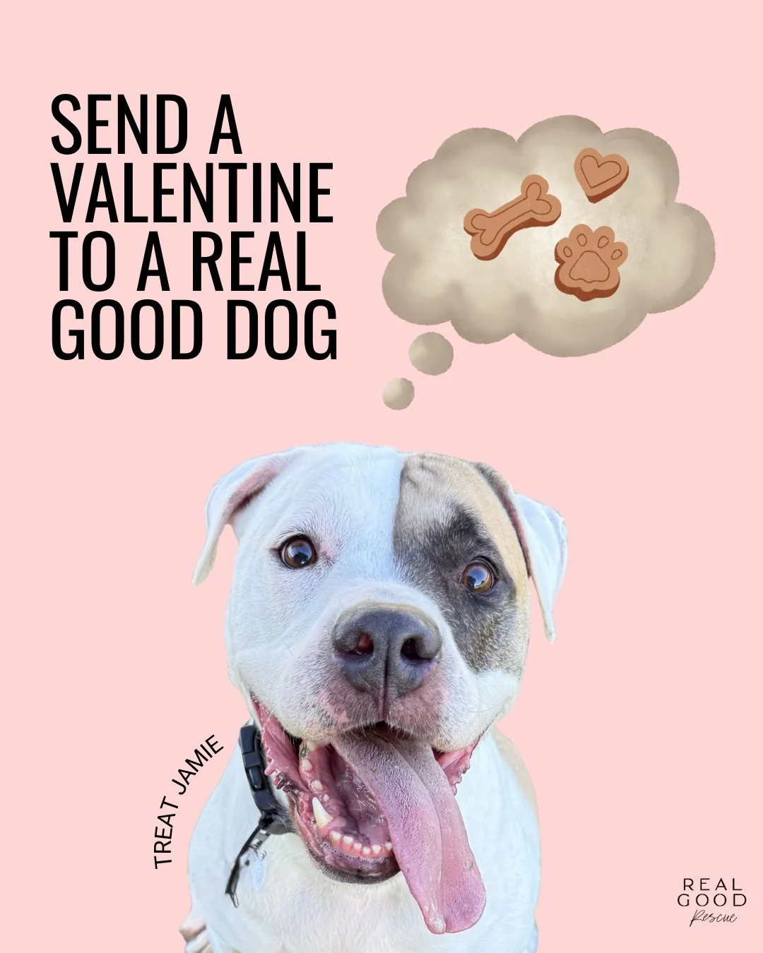 LAST CHANCE, LOVE BIRDS. 💘🐶

If you&rsquo;ve been meaning to send a Love Bone&hellip; this is your sign. Because tomorrow is Valentine&rsquo;s Day and we&rsquo;re closing the &ldquo;Valen-treat&rdquo; window.

Skip the roses. Send a Love Bone to a 
