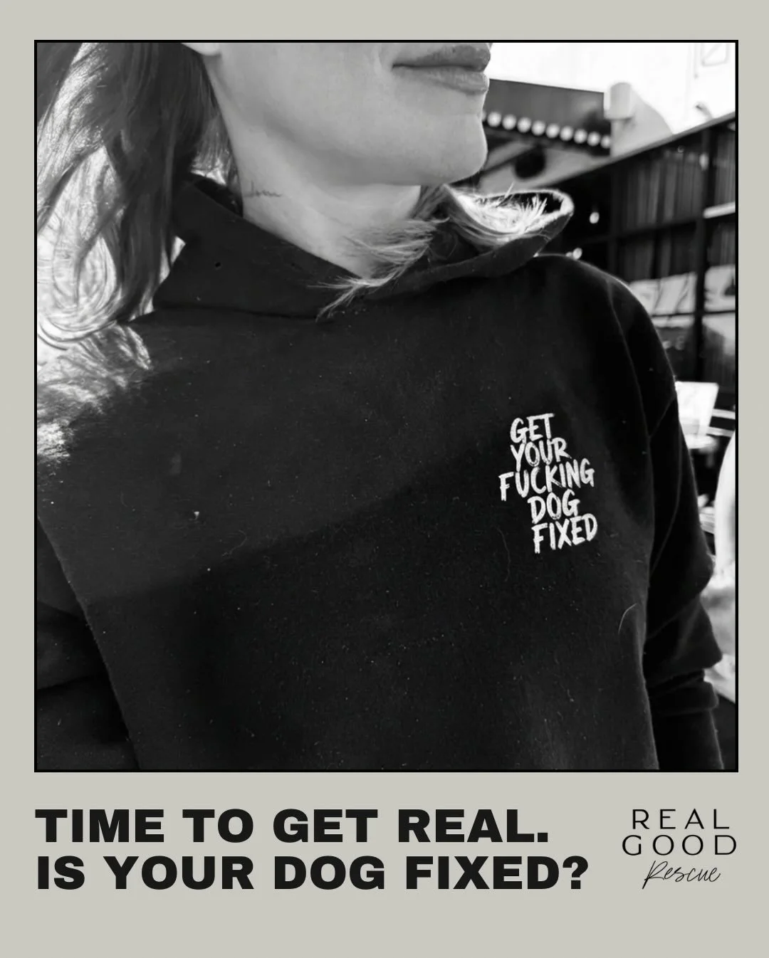 We&rsquo;ll say it louder for the people in the back:

GET👏YOUR👏FUCKING👏DOG👏FIXED

February 24 is World Spay/Neuter Day.

Your assignment:
- Spay/neuter your dog
- Educate a friend - share this post!
- Advocate for policy change

(Also, rep our #