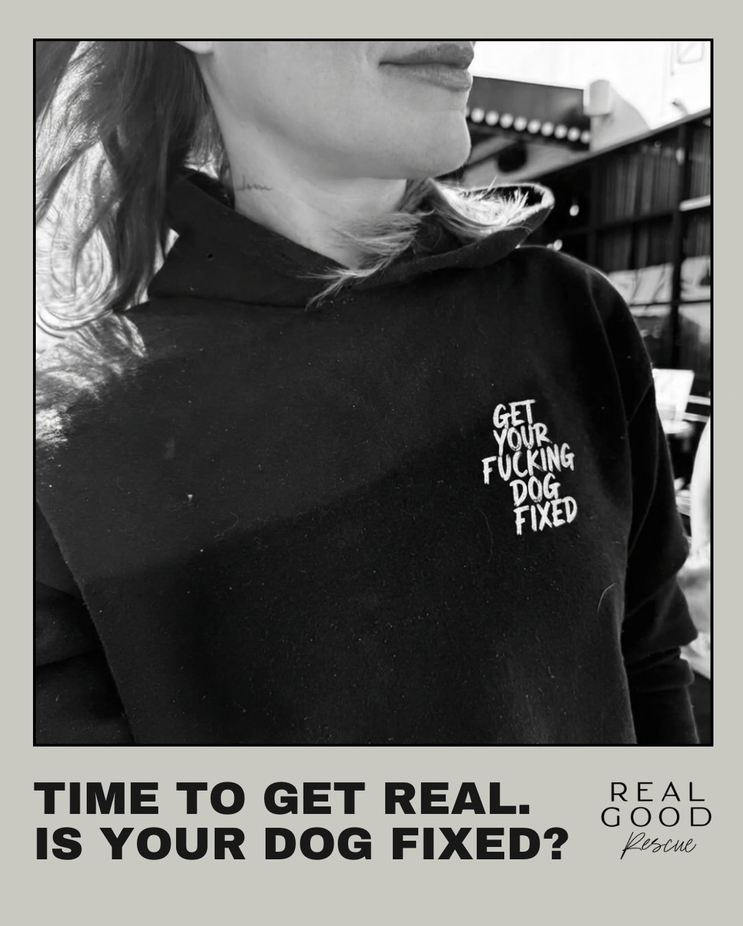 We&rsquo;ll say it louder for the people in the back:

GET👏YOUR👏FUCKING👏DOG👏FIXED

February 24 is World Spay/Neuter Day.

Your assignment:
- Spay/neuter your dog
- Educate a friend - share this post!
- Advocate for policy change

(Also, rep our #