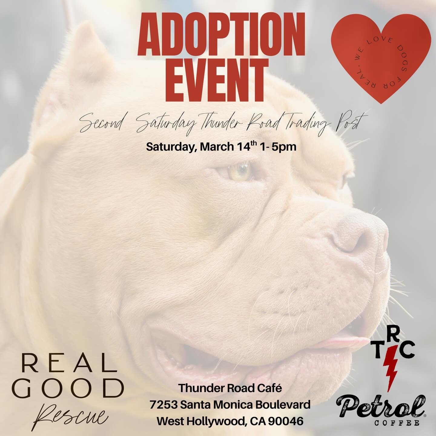 Next Saturday, skip whatever boring plans you had.

Real Good Rescue will be at Thunder Road Caf&eacute; with a few members of the Real Good Gang. They&rsquo;re excellent dogs. We&rsquo;re biased, but also correct.

Come meet them. Or keep making bad
