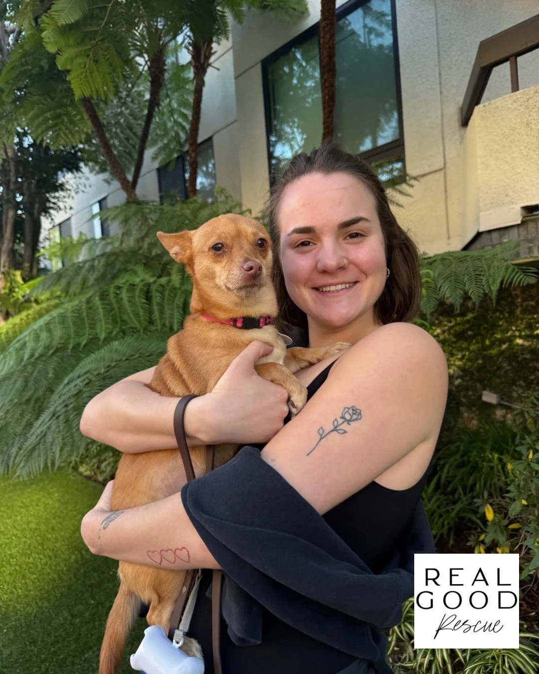 Pinky has officially entered her Stevie Nicks era.

Now known as Stevie, this tiny legend has found her forever home.

From nearly being relinquished&hellip; to life-saving surgery&hellip; to the person who knew immediately she was meant to be theirs