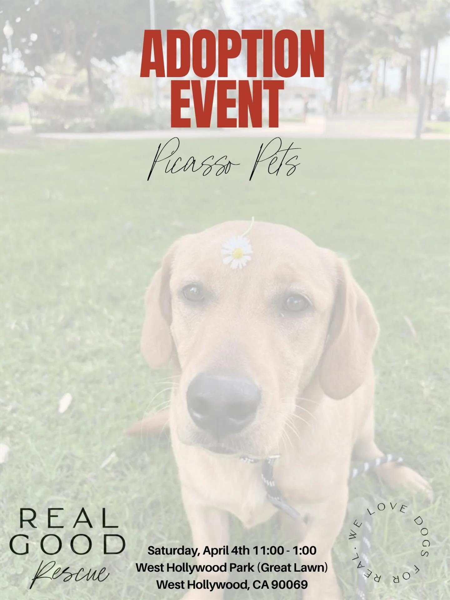 This Saturday. West Hollywood. Come meet your dog.

We&rsquo;ll be at Picasso Pets with a lineup of very adoptable, very good dogs who are ready to go home.

Saturday, April 4 11:00 AM &ndash; 1:00 PM West Hollywood Park (Great Lawn)

Come hang out, 