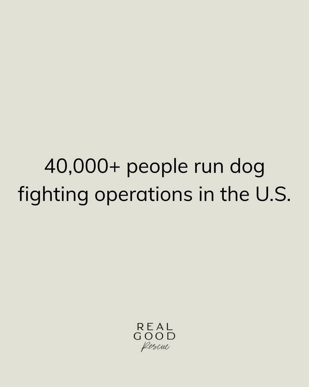 Today is National Dog Fighting Awareness Day.

Dog fighting is illegal in all 50 states, yet it continues to operate across the U.S. in both organized rings and smaller, informal settings. It is a felony offense and often tied to other criminal activ