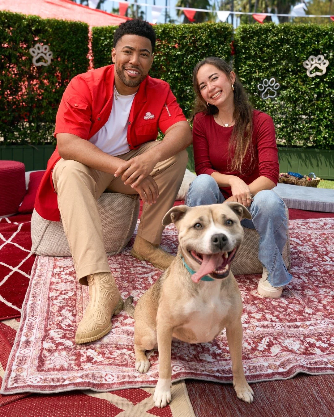 Big rescue energy for this one. 🐾 💥

A huge thank you to State Farm, Jake from State Farm, and Maya Higa for teaming up with Real Good Rescue in such a meaningful way.

Because of this collaboration:

State Farm covered the adoption fees for 5 dogs
