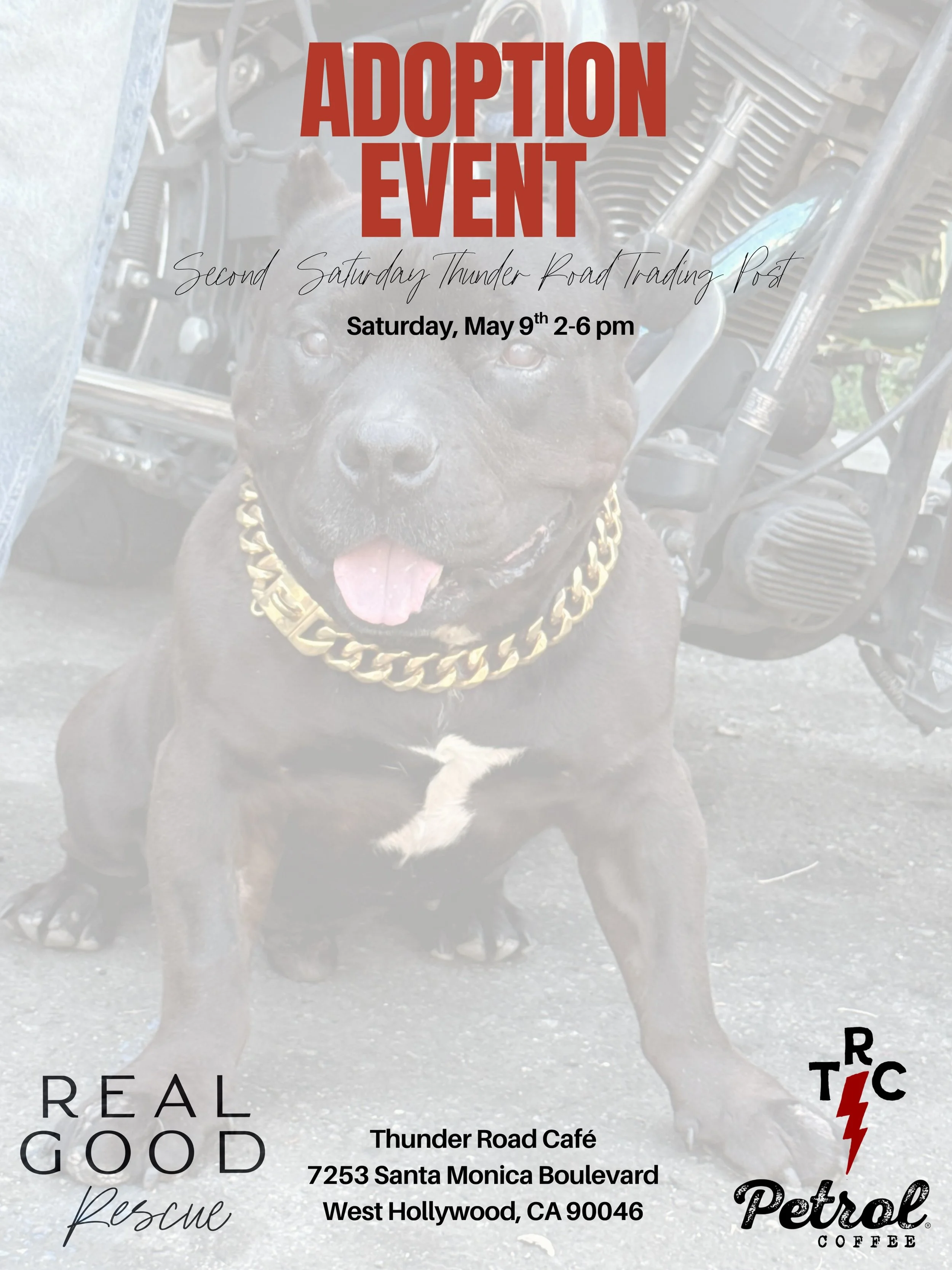 May Adoption Event! 🐾

Come meet the dogs.

📍 Thunder Road Caf&eacute;
7253 Santa Monica Blvd, West Hollywood

🗓 Saturday, May 9
⏰ 2PM &ndash; 6PM

Good dogs. Good people. Good decisions.

📍 Apply to adopt a dog at realgood.dog/adopt (link in bio