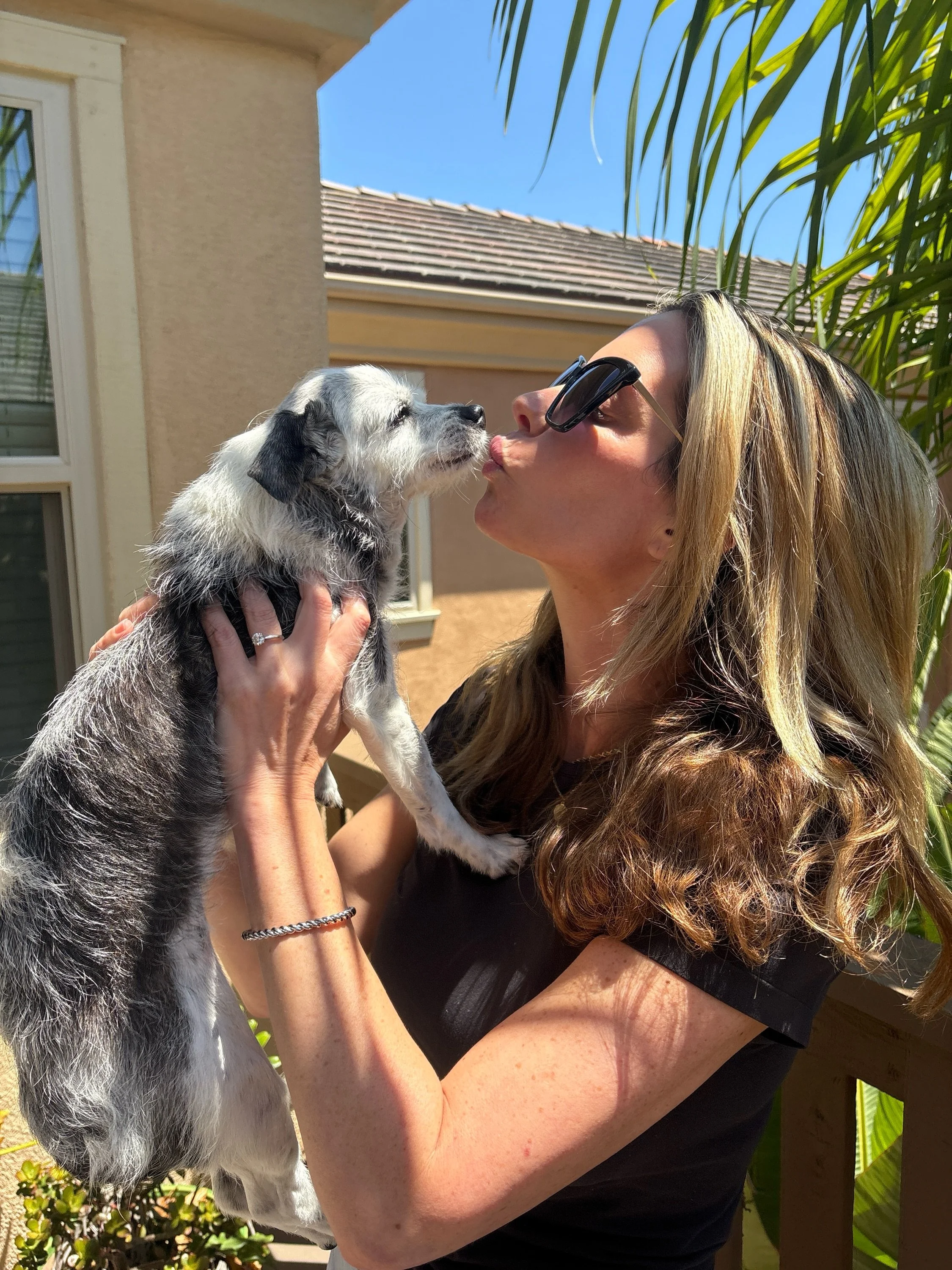 To the dog moms:

The ones with dog hair permanently stuck to every outfit.

The ones who know the sound of a fake throw-up gag from three rooms away.

The ones sleeping in one inch of bed because &ldquo;he looked comfortable.&rdquo;

You didn&rsquo;