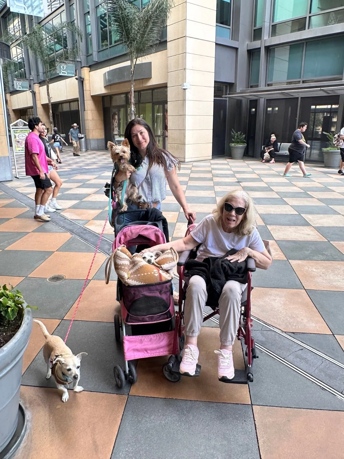Mel Brooks is ADOPTED. 🖤

From euthanasia list&hellip; to somebody&rsquo;s little shadow.

This tiny old man really said:

&ldquo;actually I WOULD like to be loved and carried around for the rest of my life.&rdquo;

And now he gets exactly that.

He