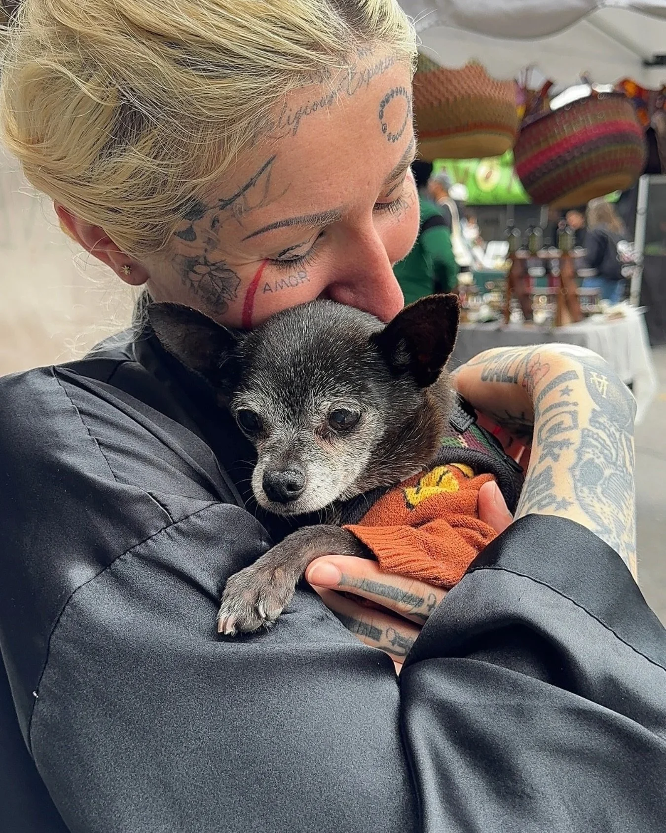 PETER IS ADOPTED. 🖤

14 years old.
Former shelter stray.
Tiny enough to fit inside a tote bag.
Old enough to have absolutely no interest in your bullshit.
And officially somebody&rsquo;s baby.

Peter getting adopted at 14 feels like the kind of thin