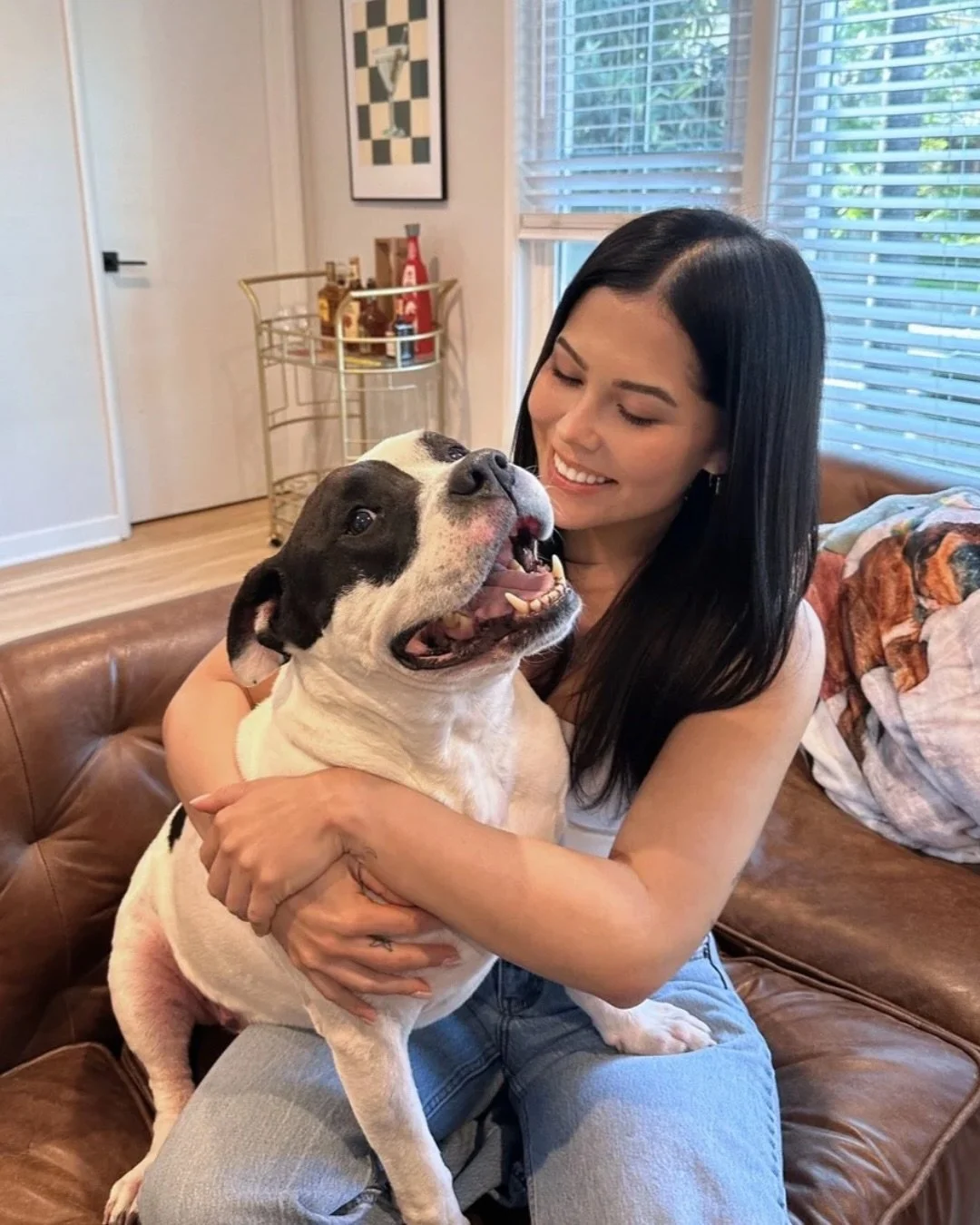 Rambo walked into North Central shelter as an owner surrender and had seven days before he would have been killed.

Seven days.

A foster said yes, we said yes, and this boy got a second chance at everything.

A new life not only comes with a new mom