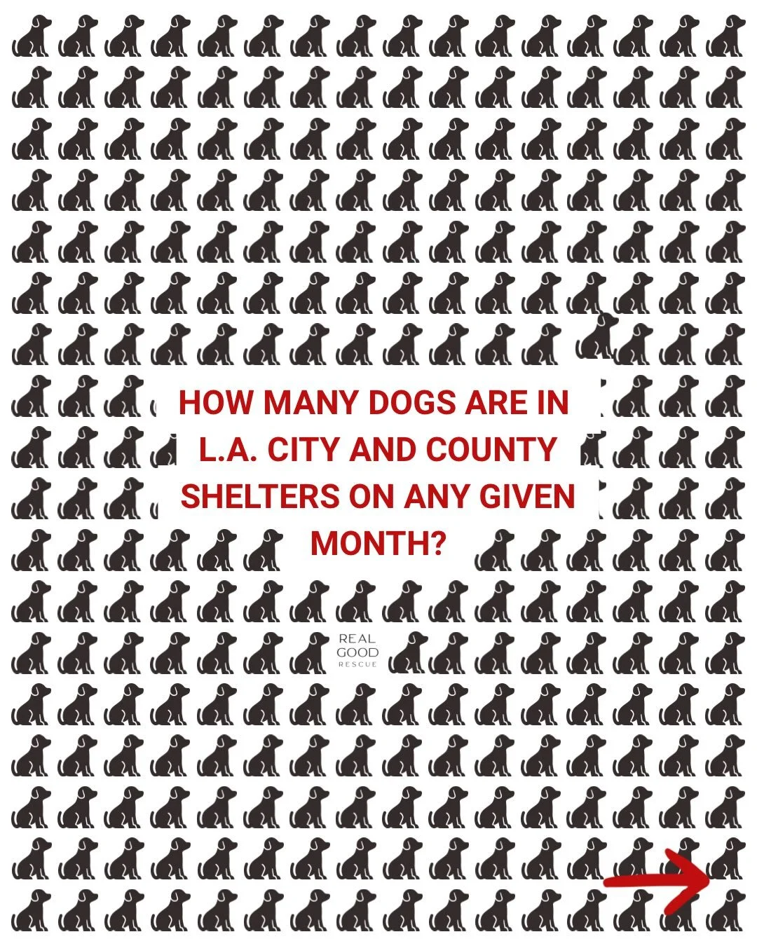 How many dogs are in and out of L.A. city and country shelters each month?

Drop you guess in the comments and then swipe to find out.

Once you know, you probably won&rsquo;t sleep at night. Do something about it. 

Visit RealGood.Dog and sign up to