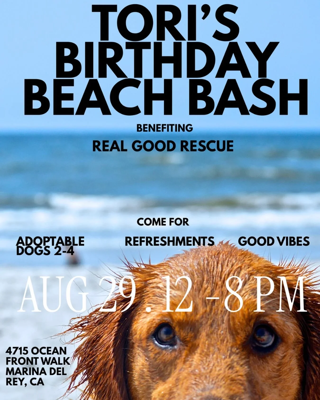 Our friend @simplysimplify is throwing a beach bash and generously asked us to crash it.

We&rsquo;re not the type to say no.

Adoptable dogs on site from 2-4, plus refreshments and good vibes all day.

August 29th
12-8PM
4715 Ocean Front Walk
Marina