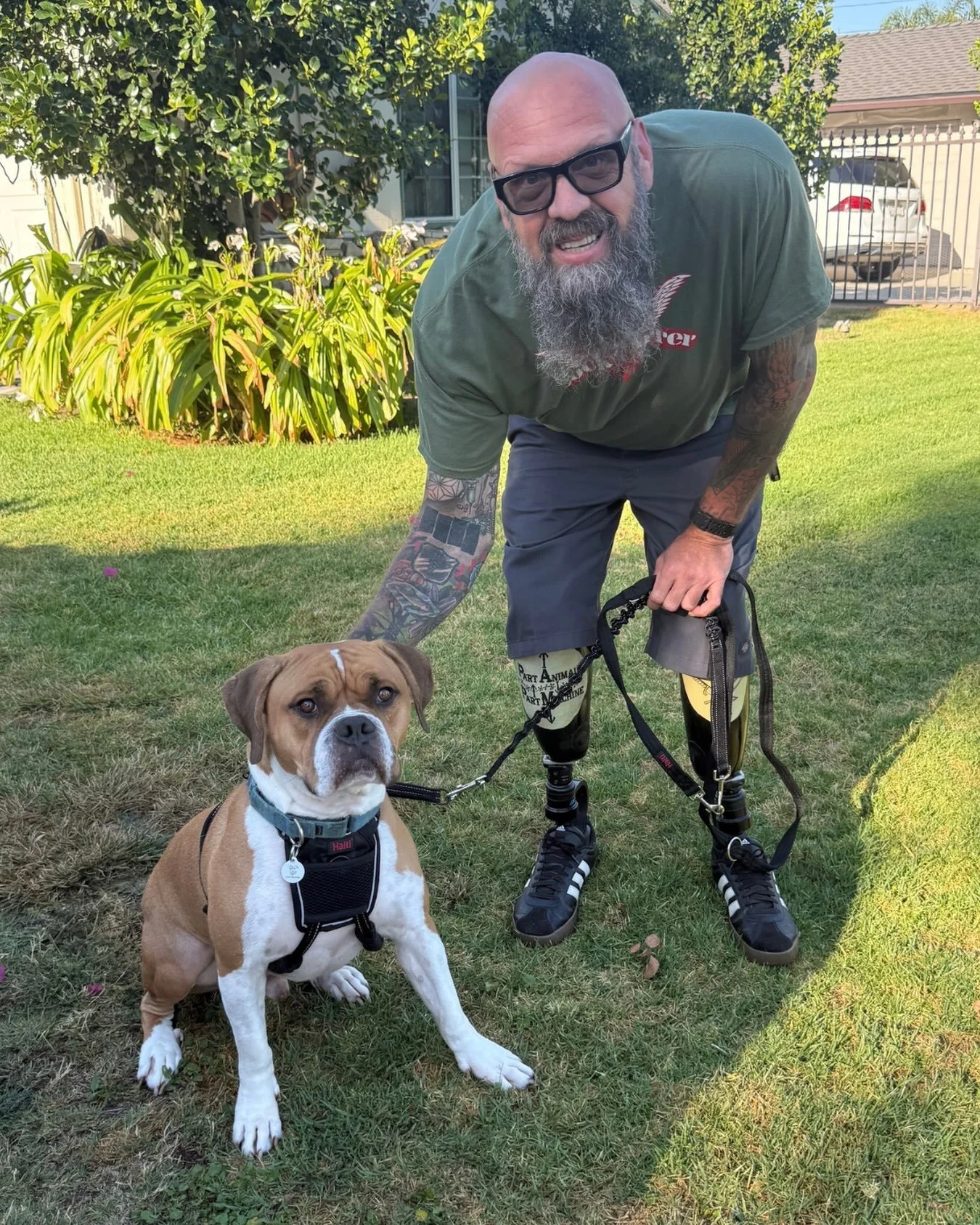 Clyde has officially left the building and joined a forever home!

We watched Clyde wait patiently for more than 11 months (as the gentleman we all know he is). He stayed patient, he must have known his calm and charming cuteness would work on someon