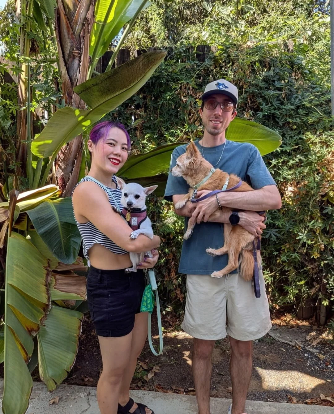 We LOVE a senior chihuahua success story.

Y&rsquo;all, Martha found her people! She is now Lucia and we could not be more obsessed with the name choice.

She came to us from the euthanasia list pretty neglected; under weight, overgrown nails and wit