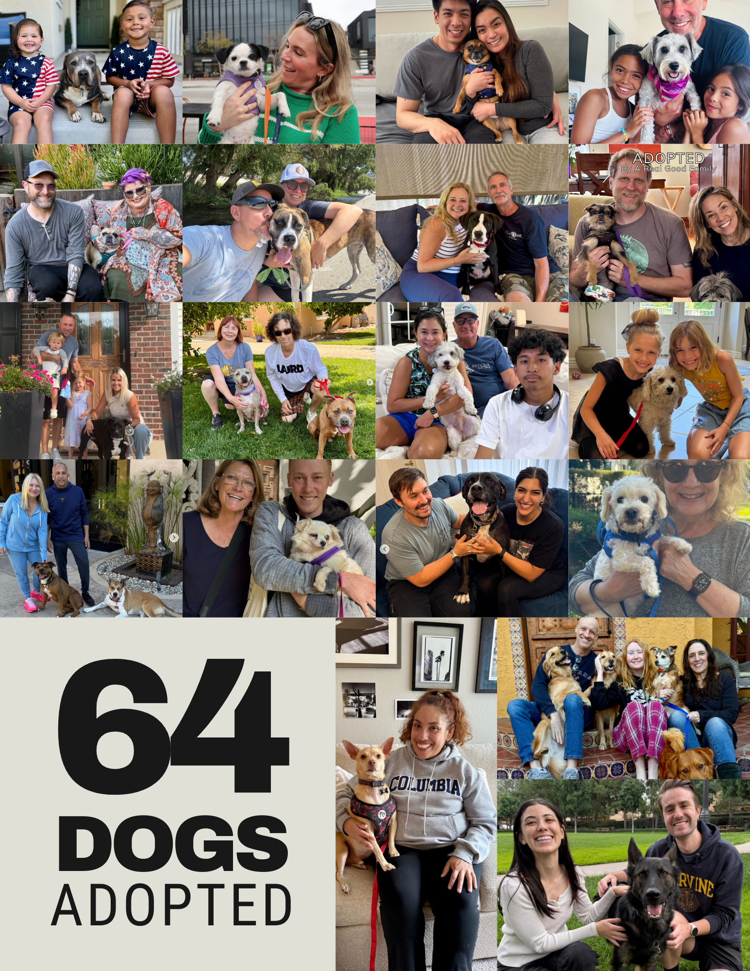 adoption collage 2.png