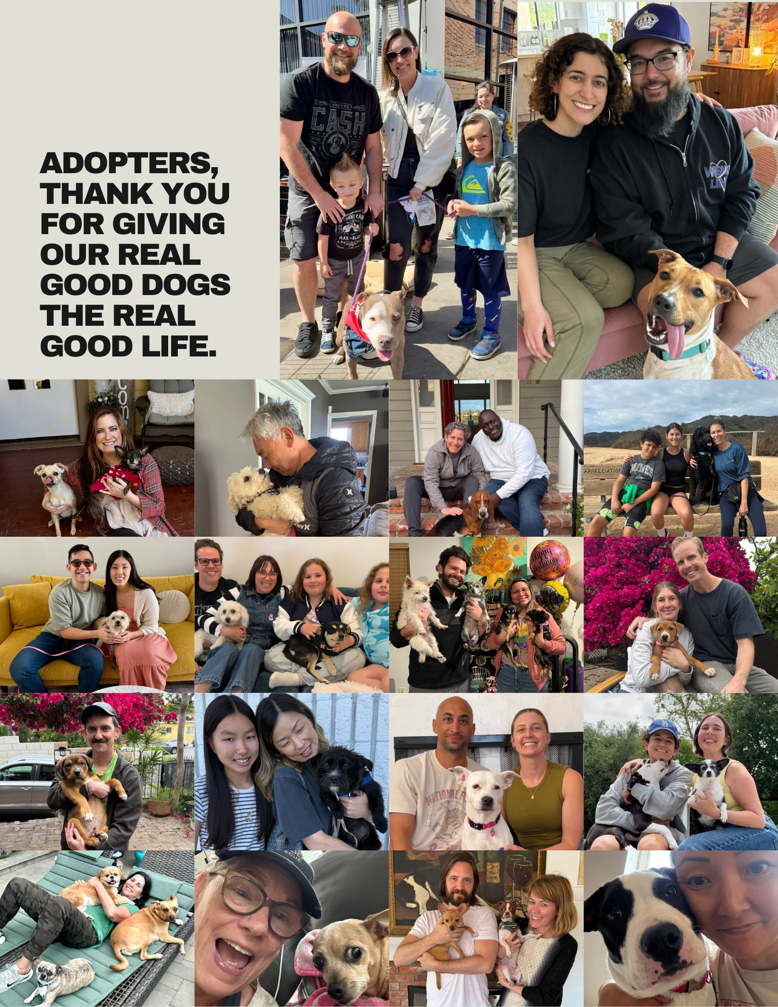 adoption collage 1.png