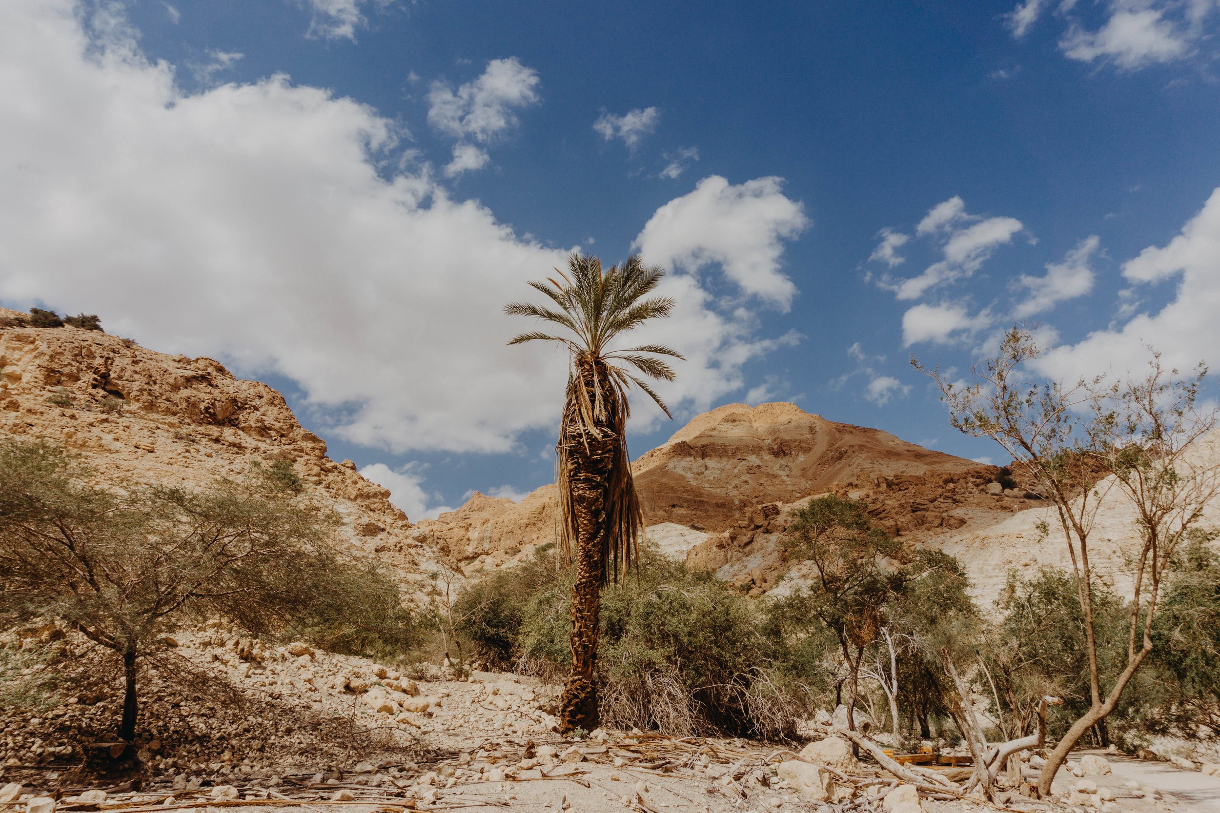 Ein Gedi Israel 1