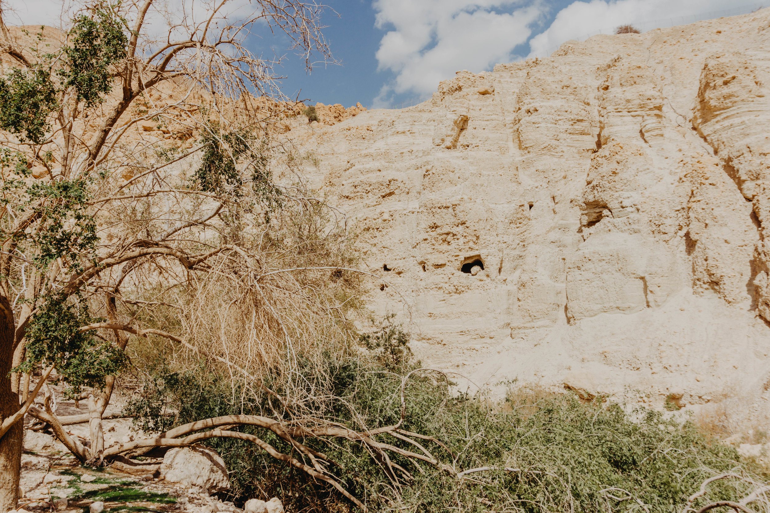 Ein Gedi Reserve Israel