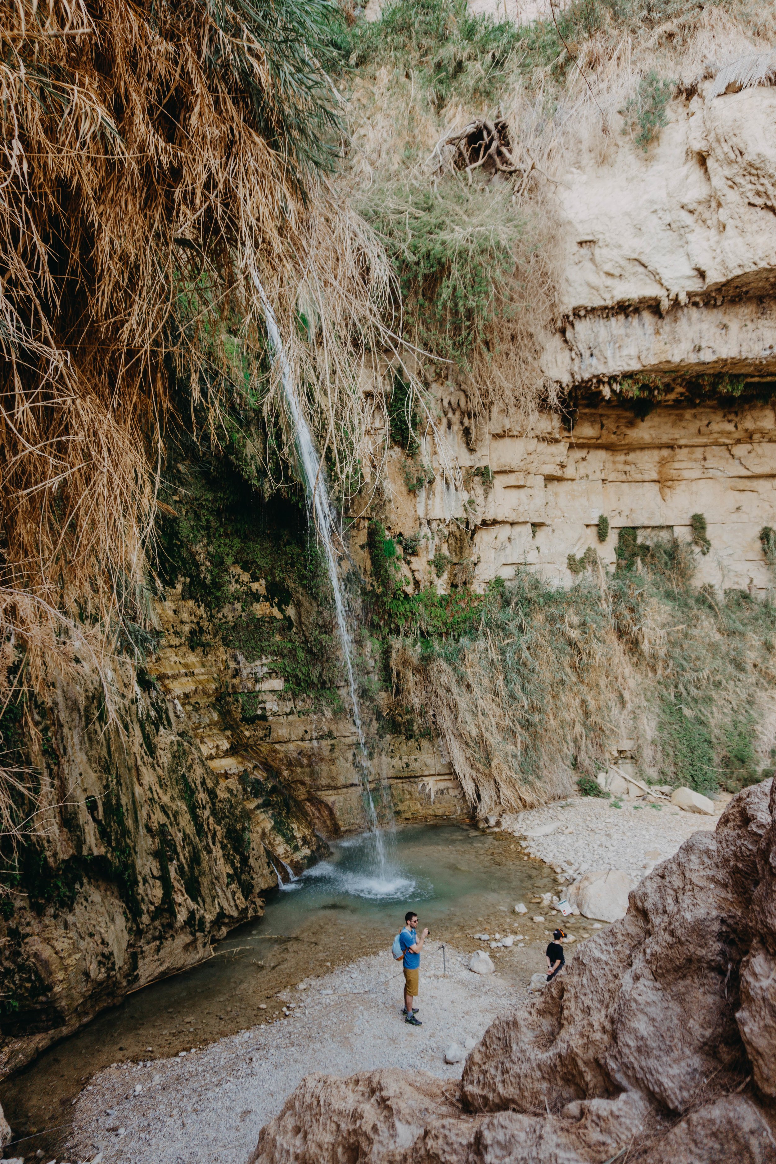 Ein Gedi Reserve in Israel