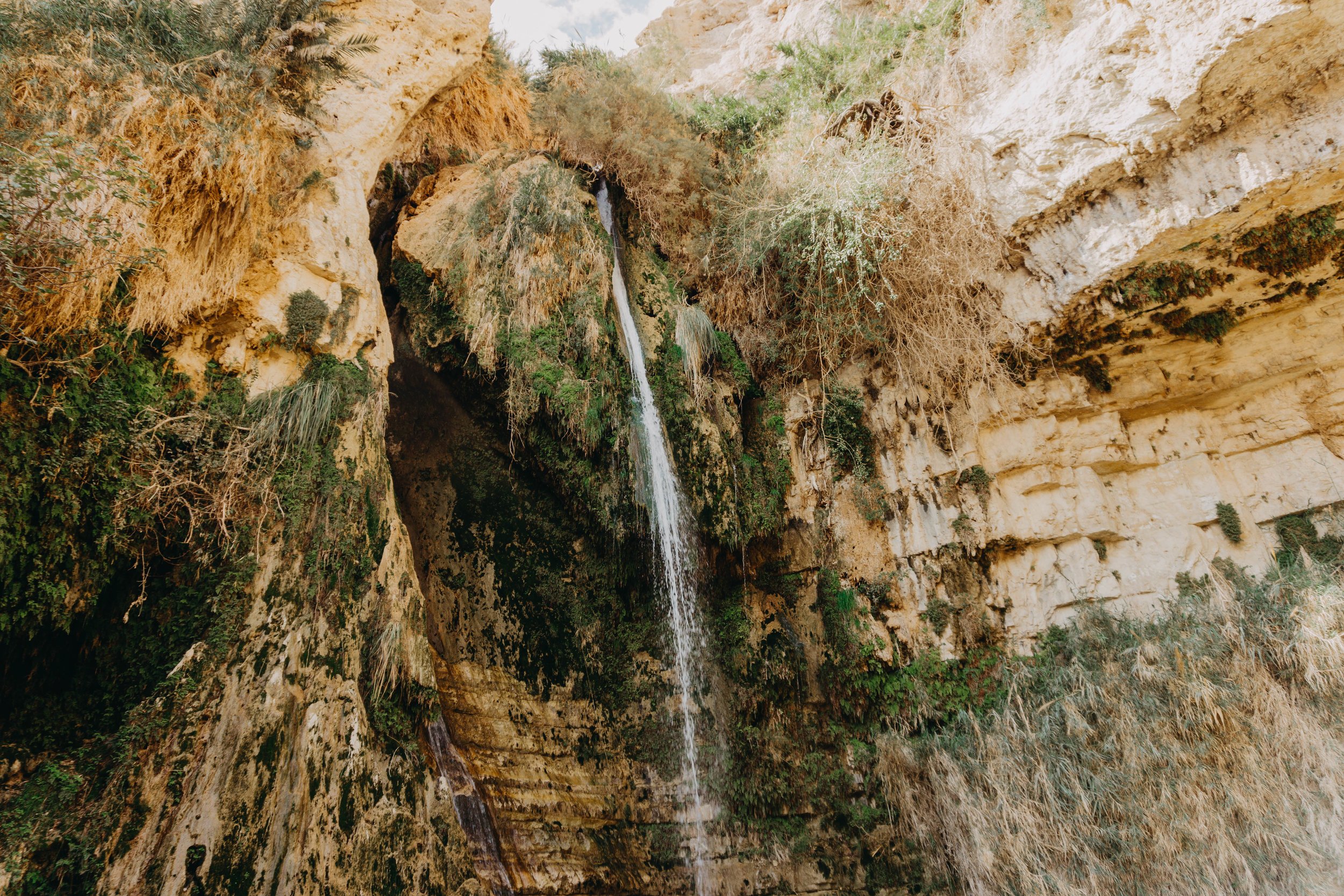 Ein Gedi/ En Gedi