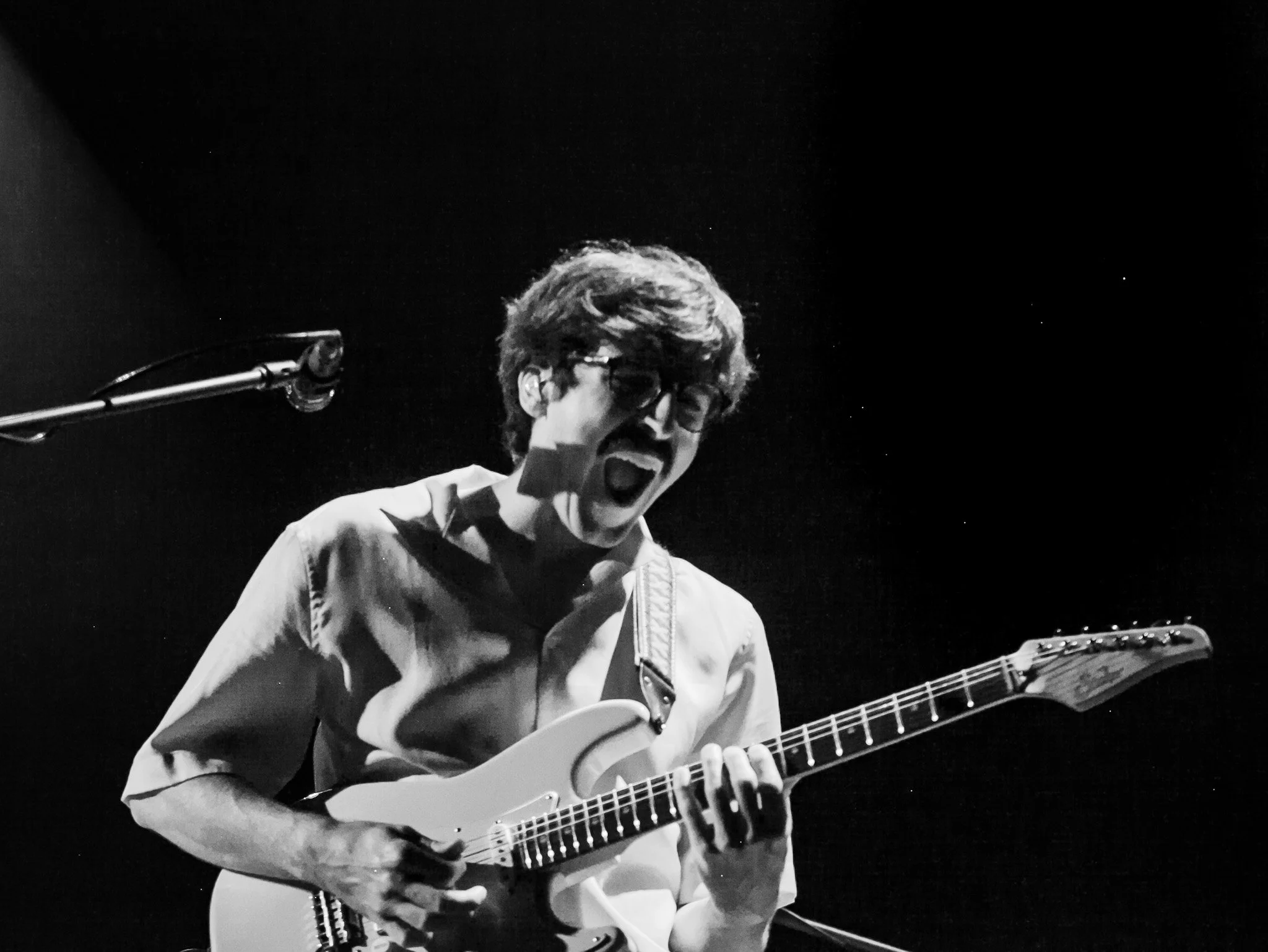 Goose Radio City Music Hall New York City Maggie V. Miles