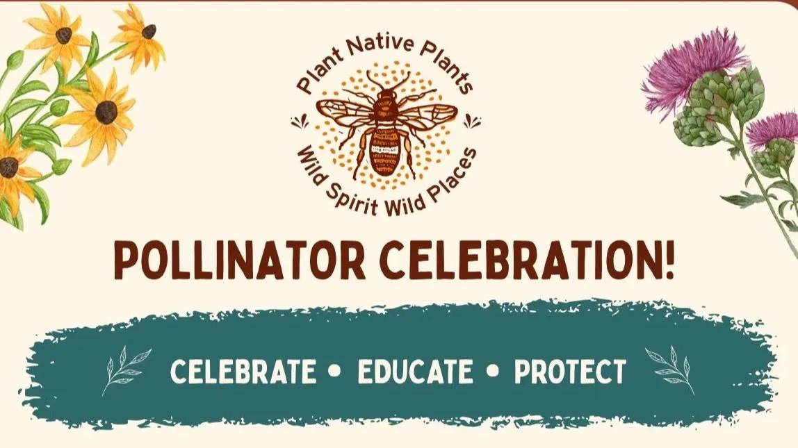 Wild Spirit Wild Places 3rd Annual Pollinator Celebration