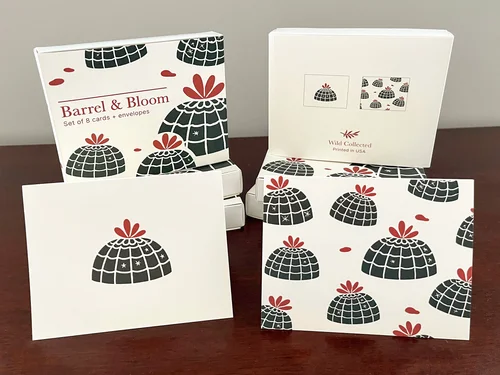 Fresh Cut and Barrel & Bloom stationery sets